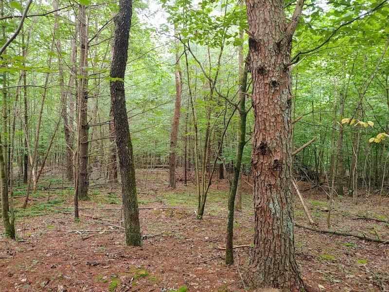 7.25 acres in Franklin County, Virginia