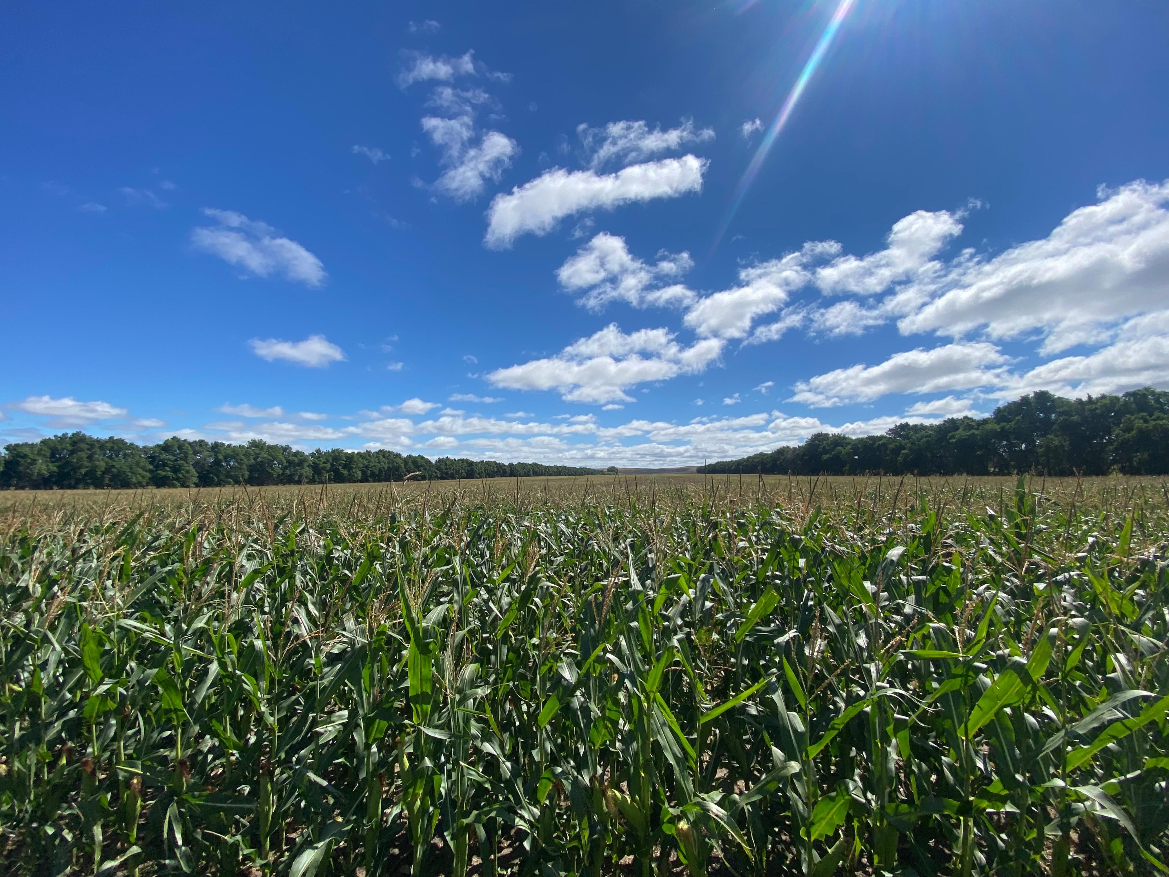 1,505.3 acres in Logan County, North Dakota