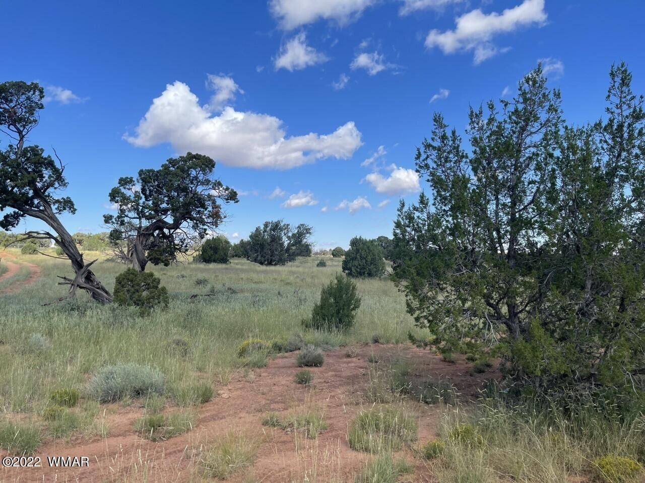 32 acres in Apache County, Arizona