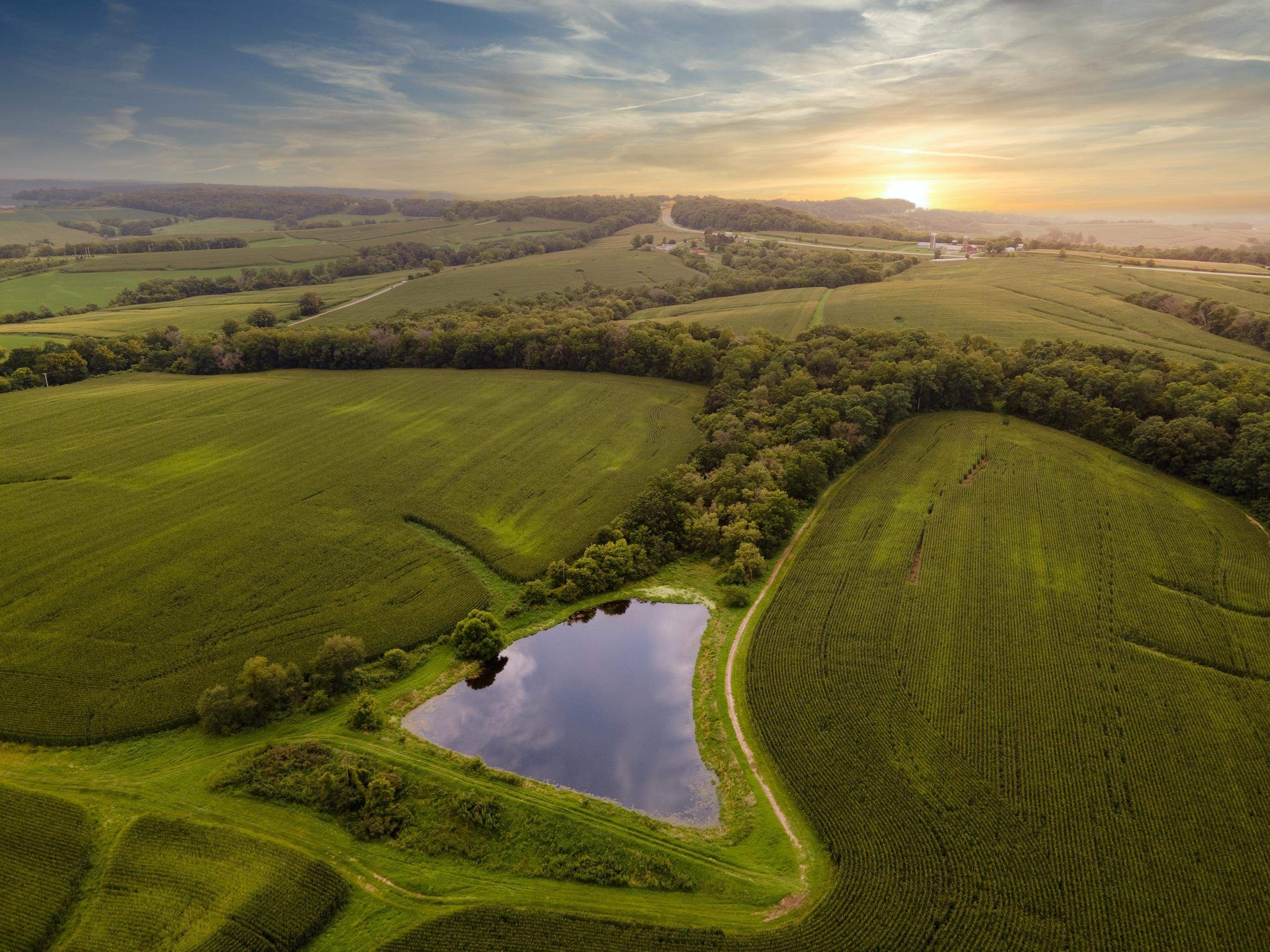 260 acres in Jo Daviess County, Illinois