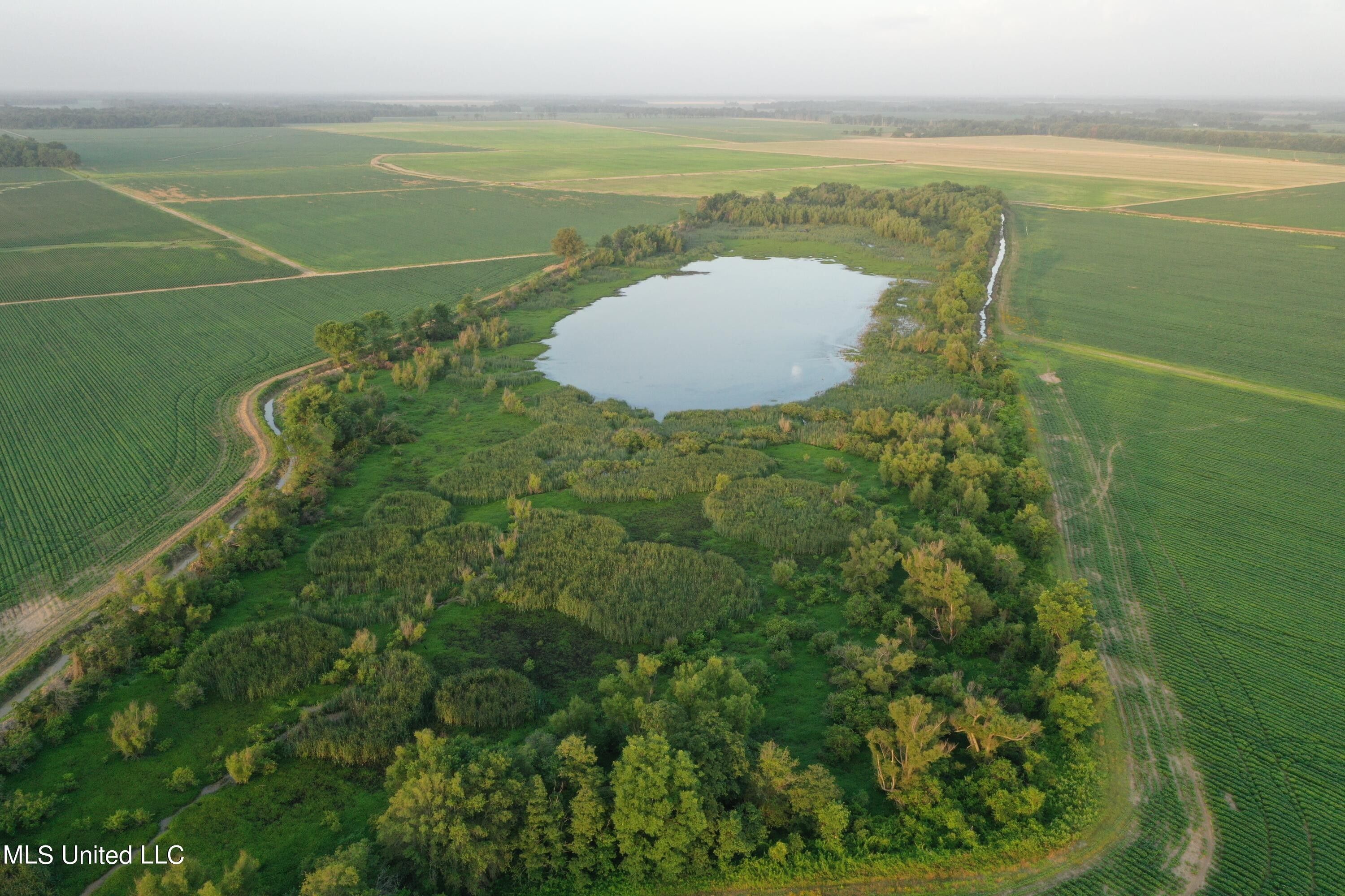 34.5 acres in Sunflower County, Mississippi