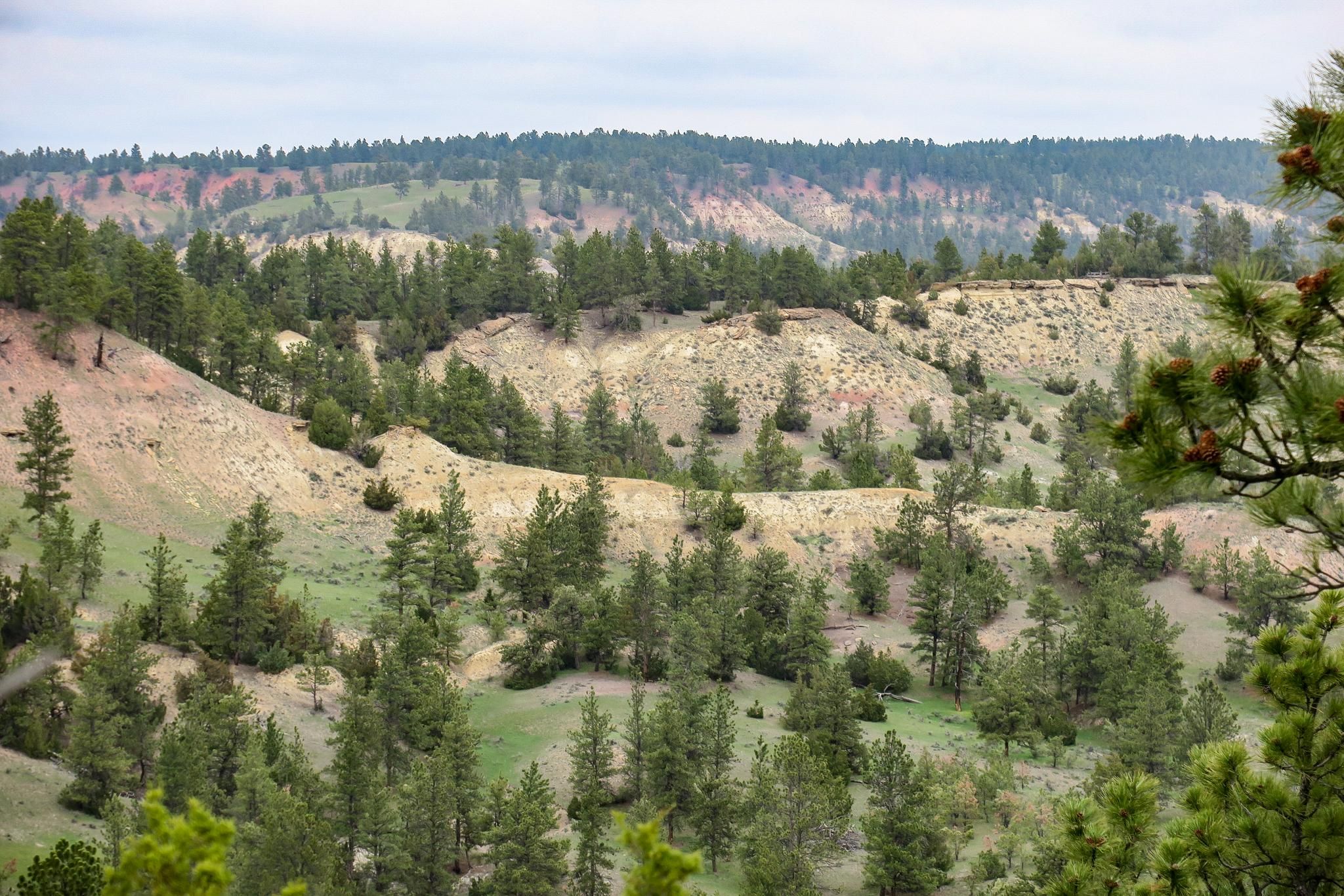 875 acres in Campbell County, Wyoming