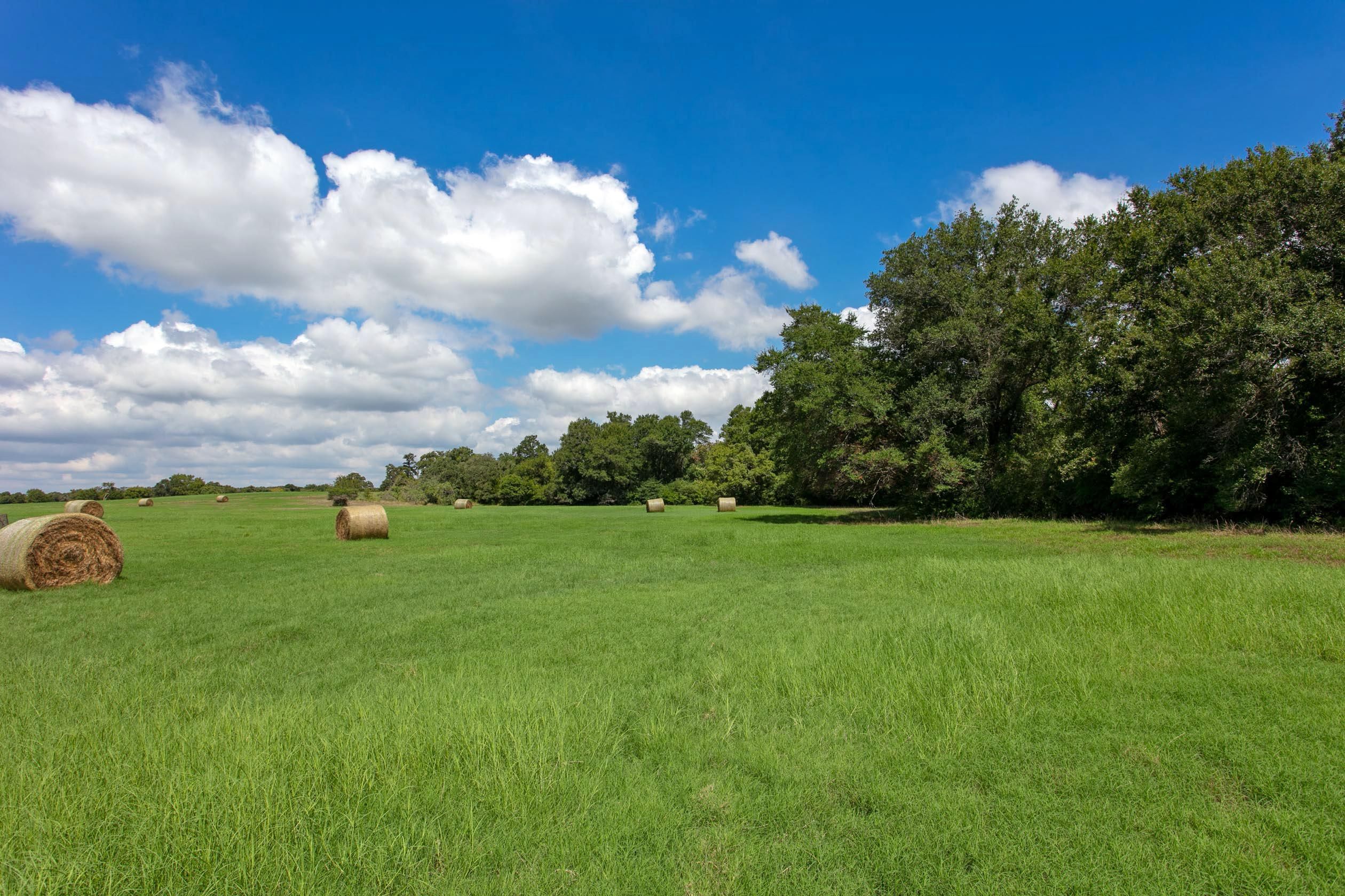 30 acres in Robertson County, Texas