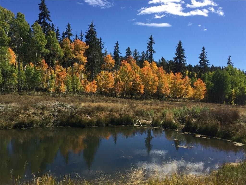11.3 acres in Park County, Colorado