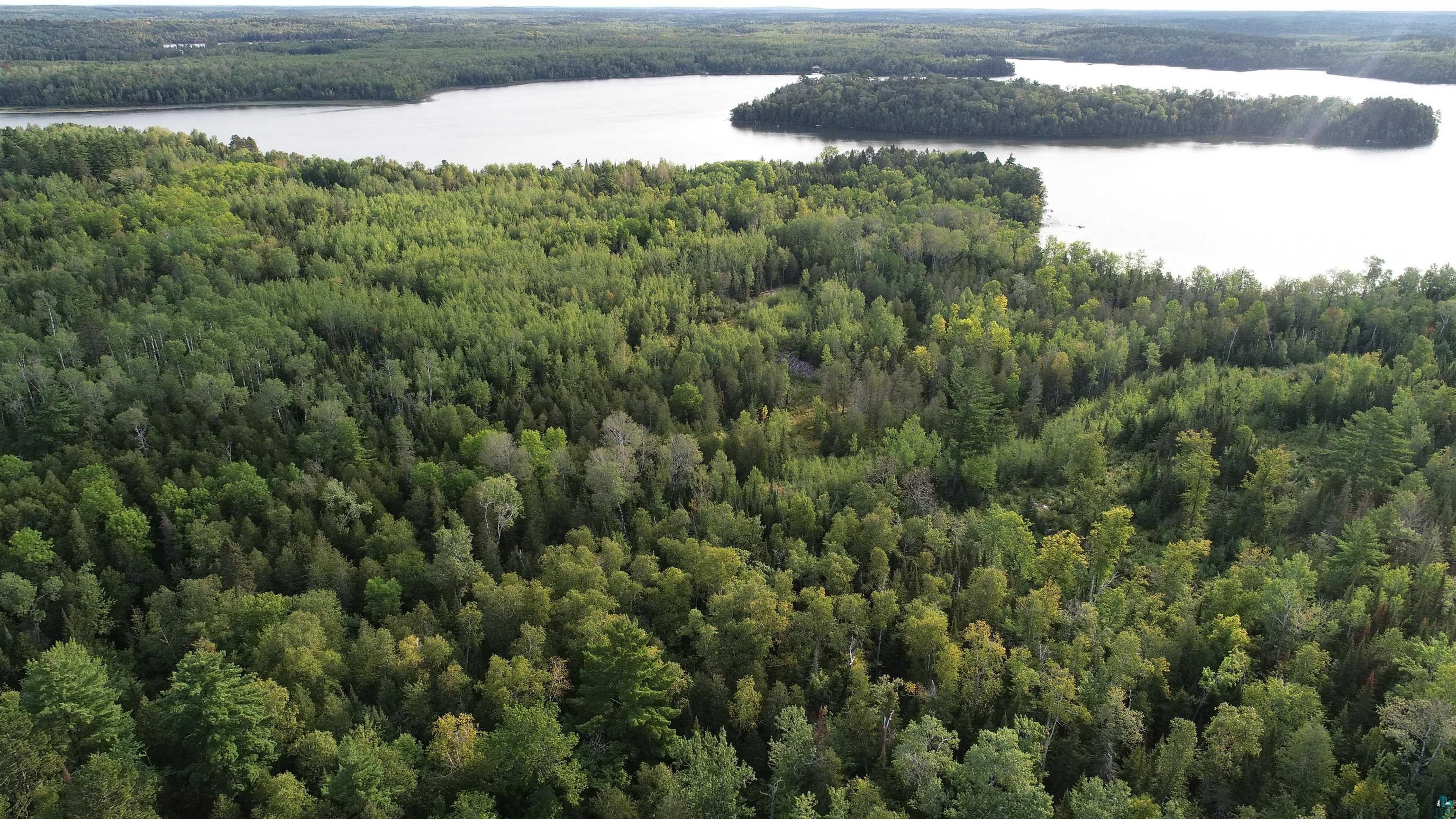 40 acres in Saint Louis County, Minnesota