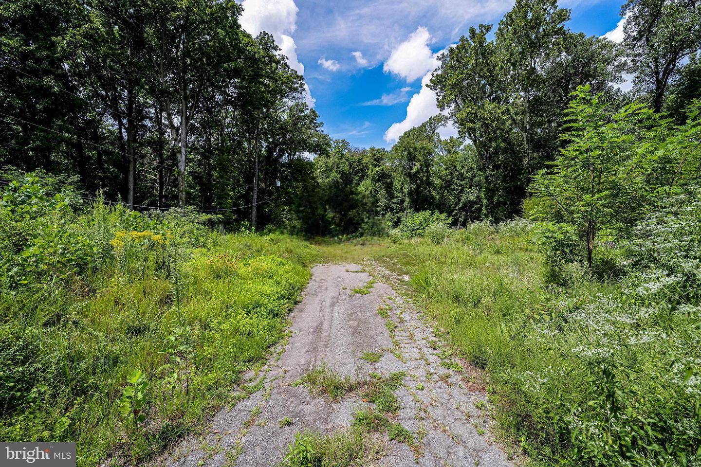 2.81 acres in Fairfax County, Virginia