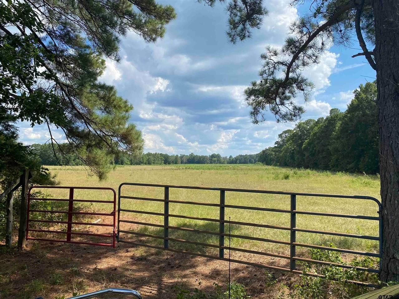 143 acres in Cherokee County, Texas