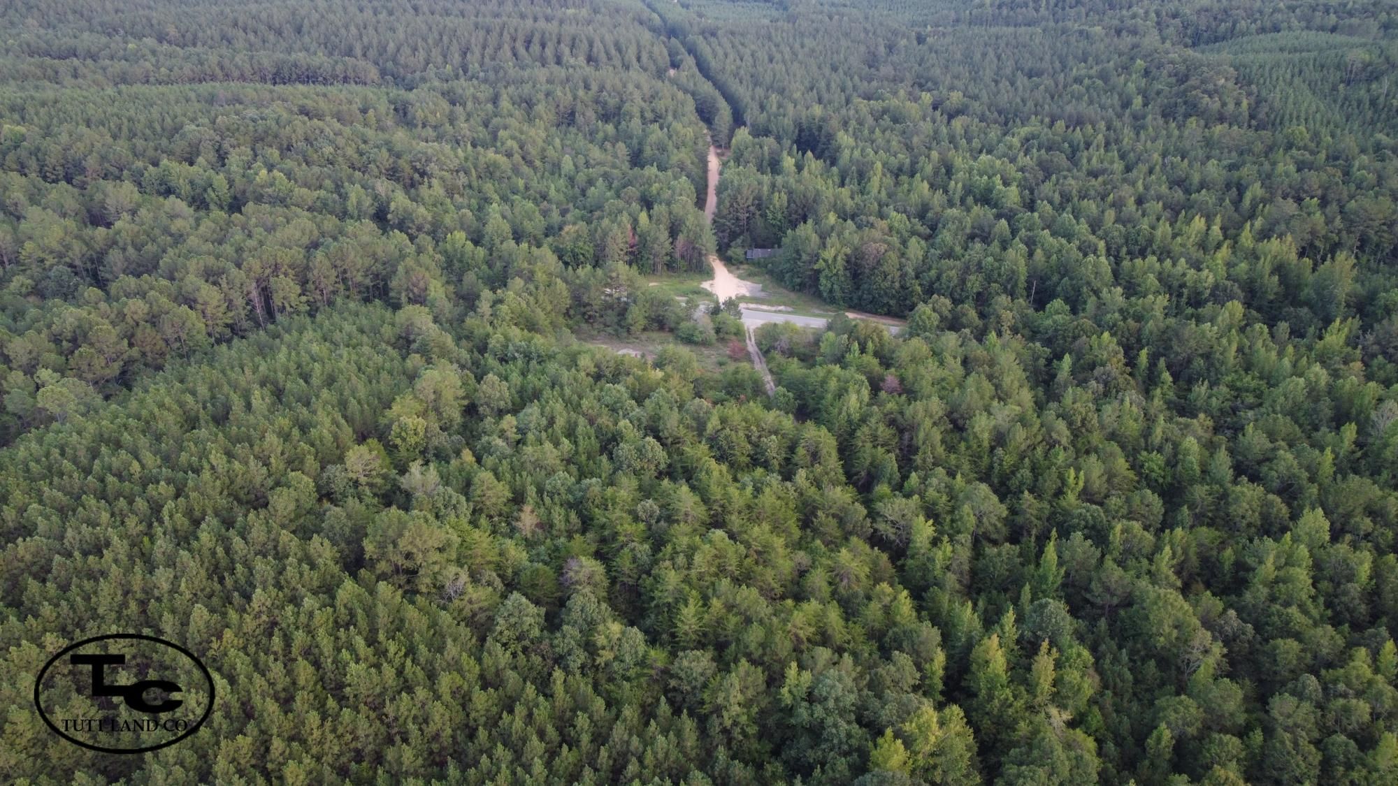 31 acres in Fayette County, Alabama