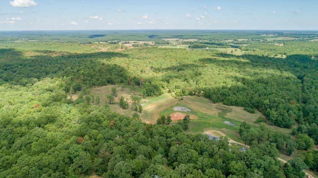 215 acres in Phelps County, Missouri