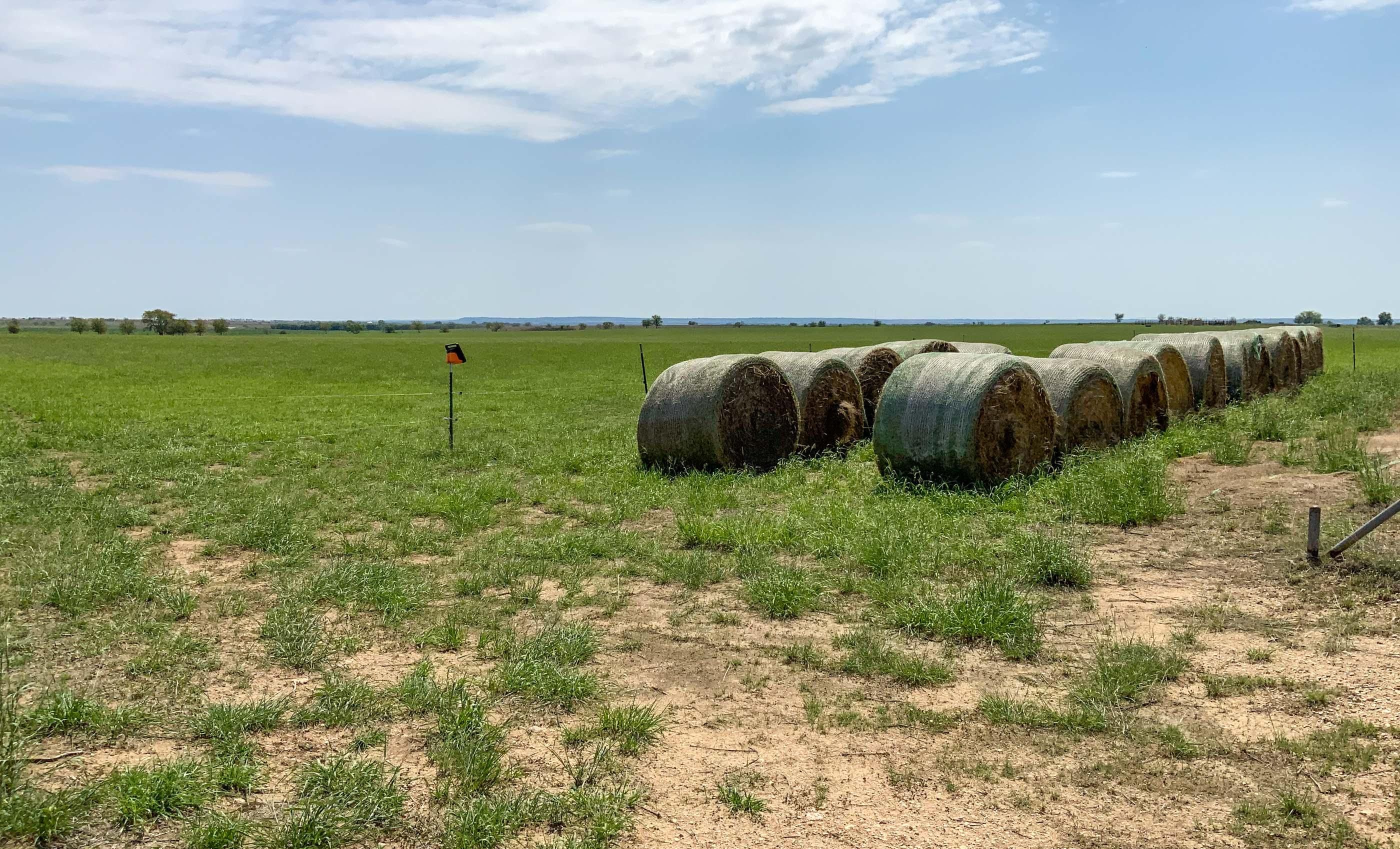 181 acres in Comanche County, Texas