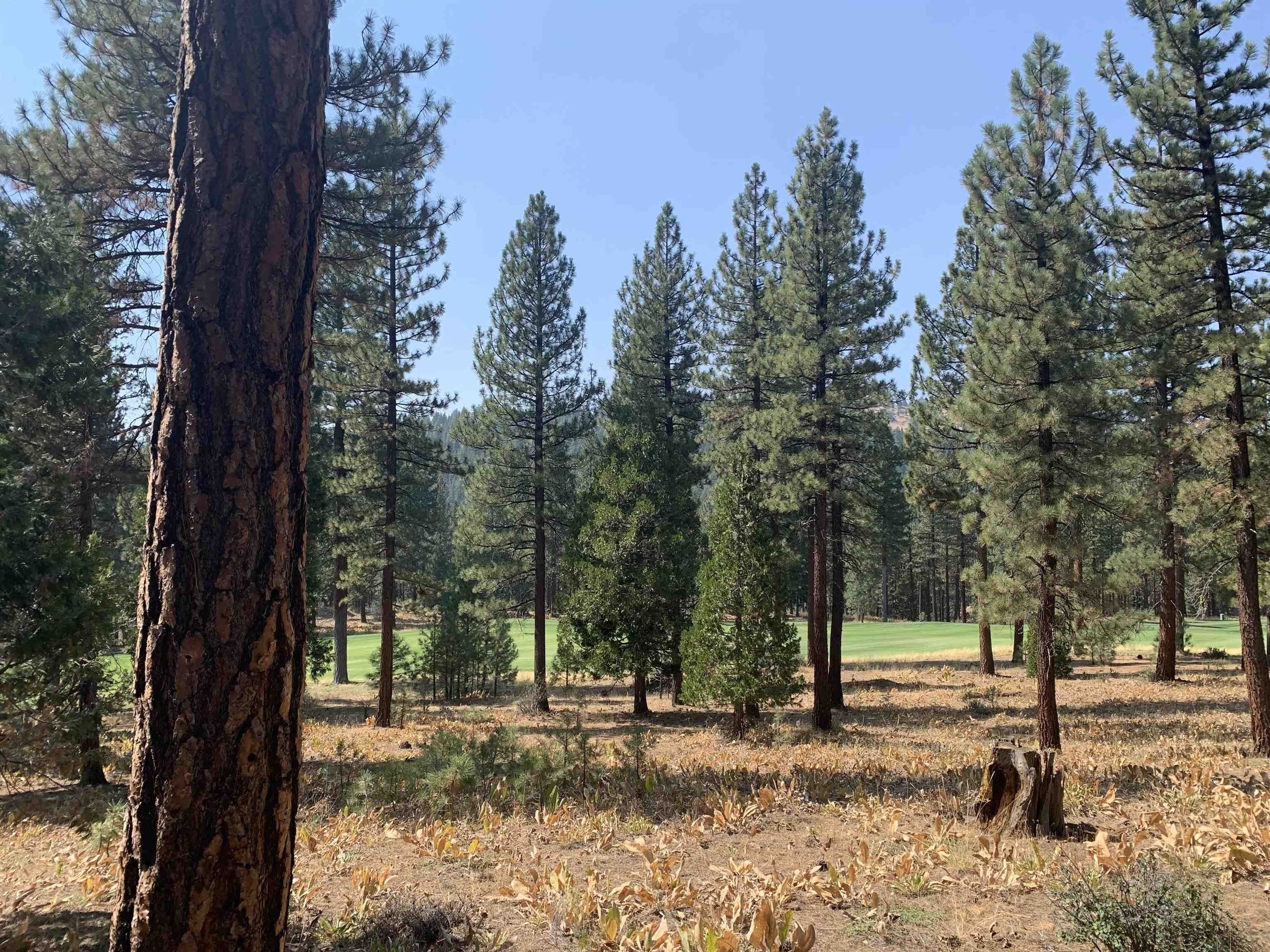 0.54 acres in Plumas County, California
