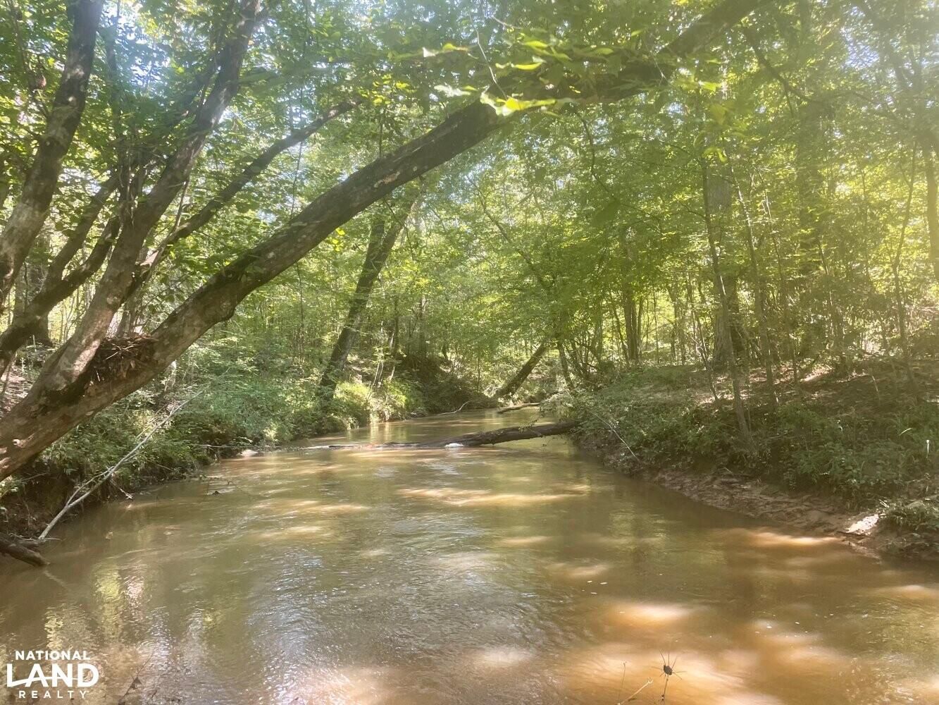 0 Macedonia Road, Shuqualak, MS 39361