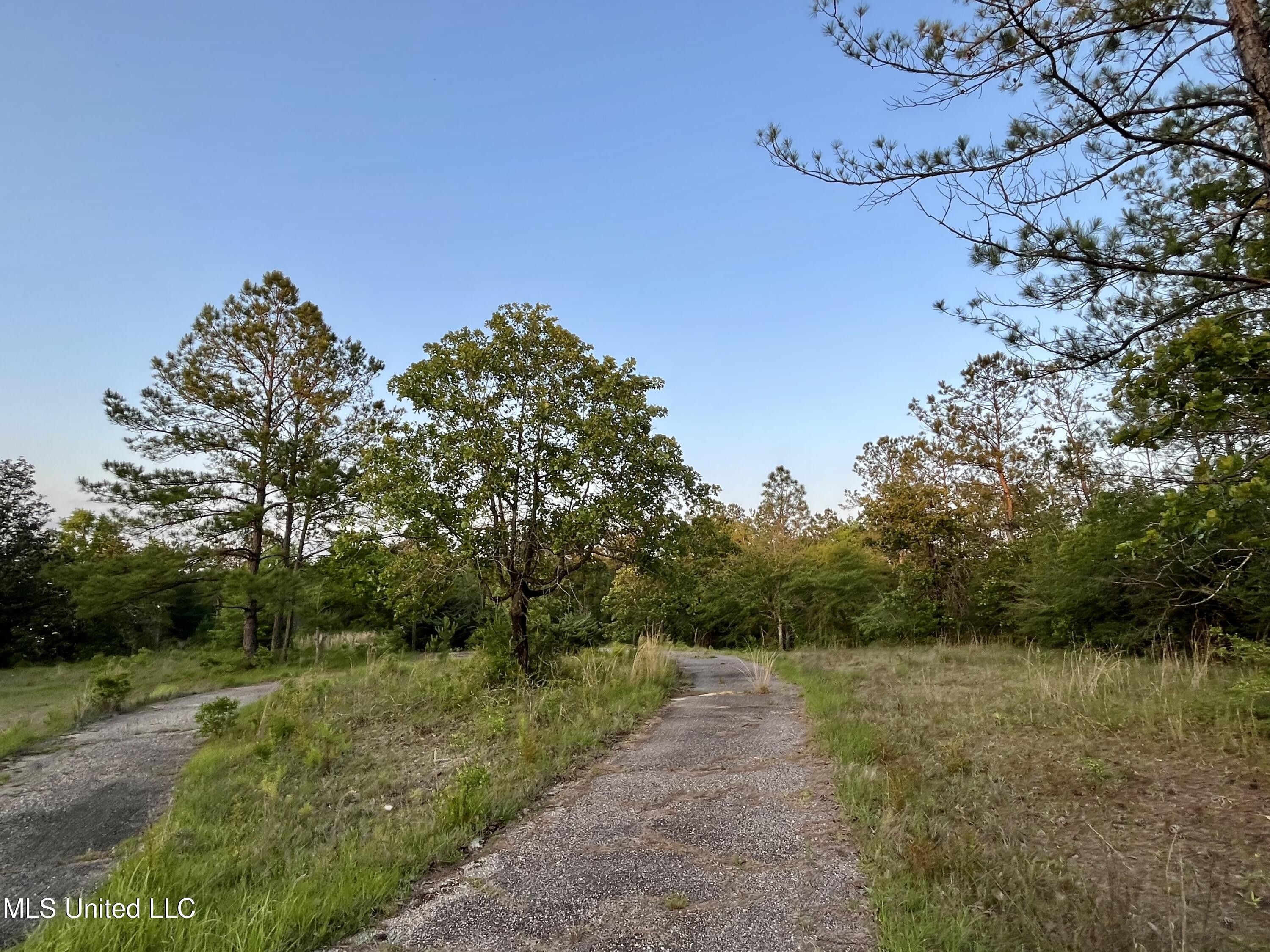 4 acres in Stone County, Mississippi