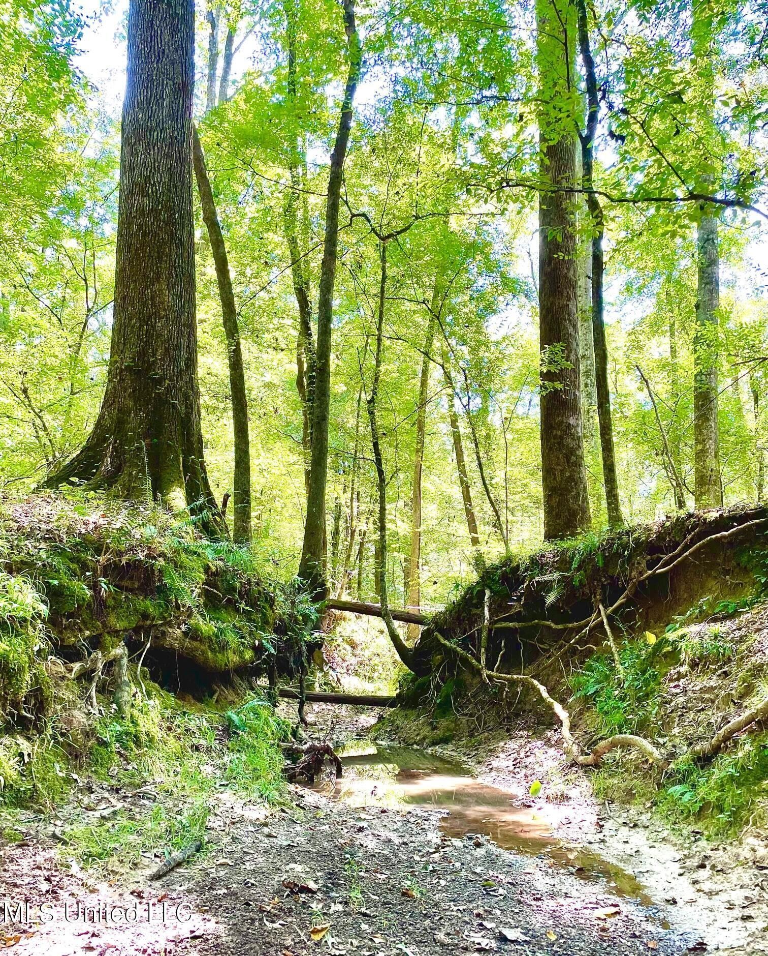 22 acres in Hinds County, Mississippi