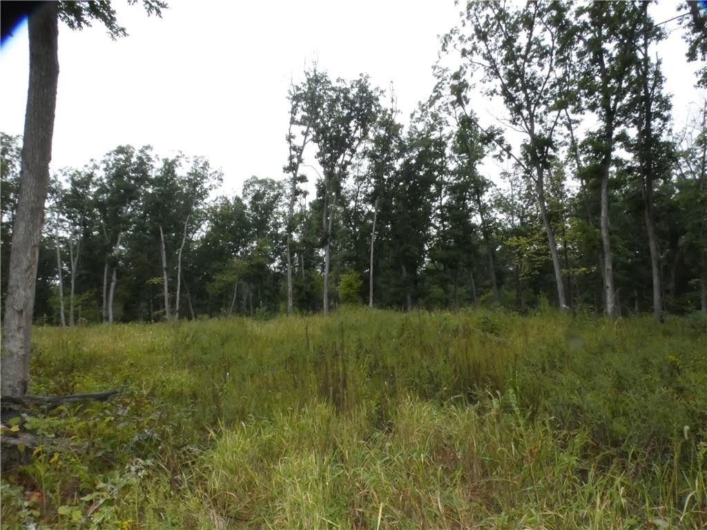 10 acres in Wayne County, Iowa