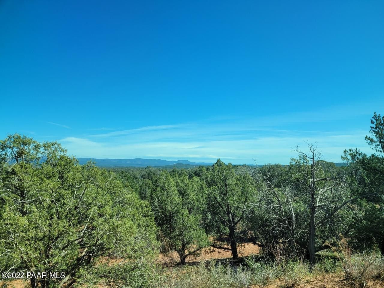 40 acres in Yavapai County, Arizona