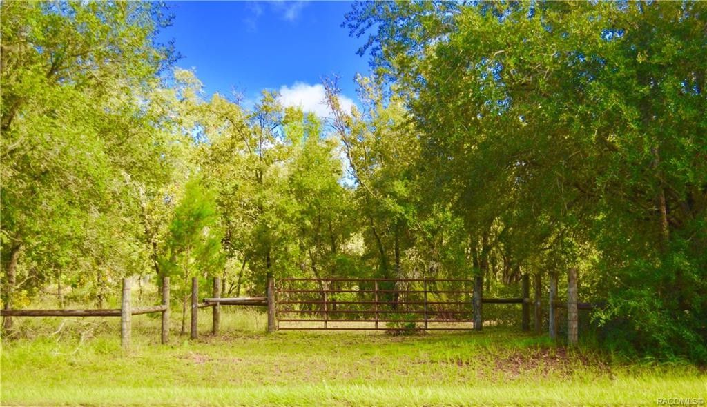 10.56 acres in Citrus County, Florida