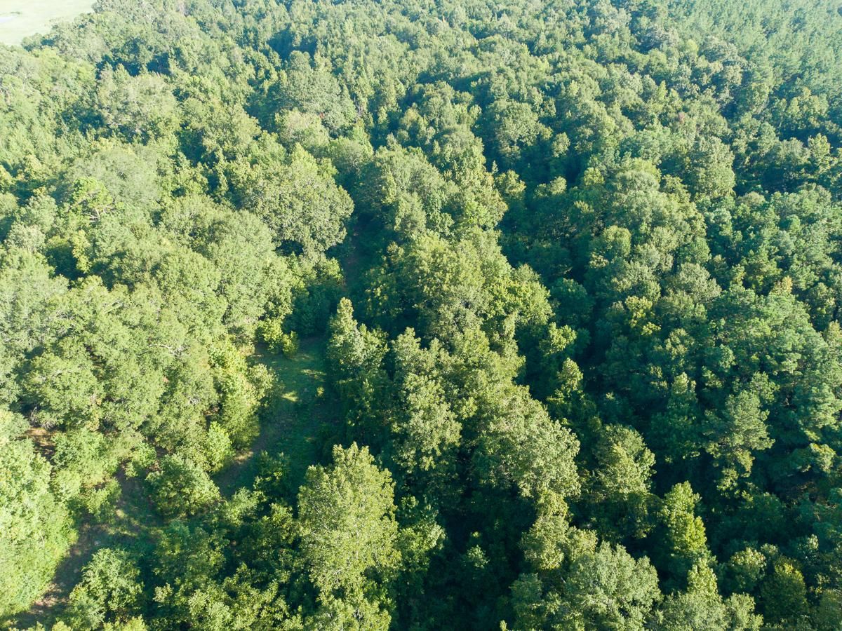 FM 2694, Huxley, TX 75973