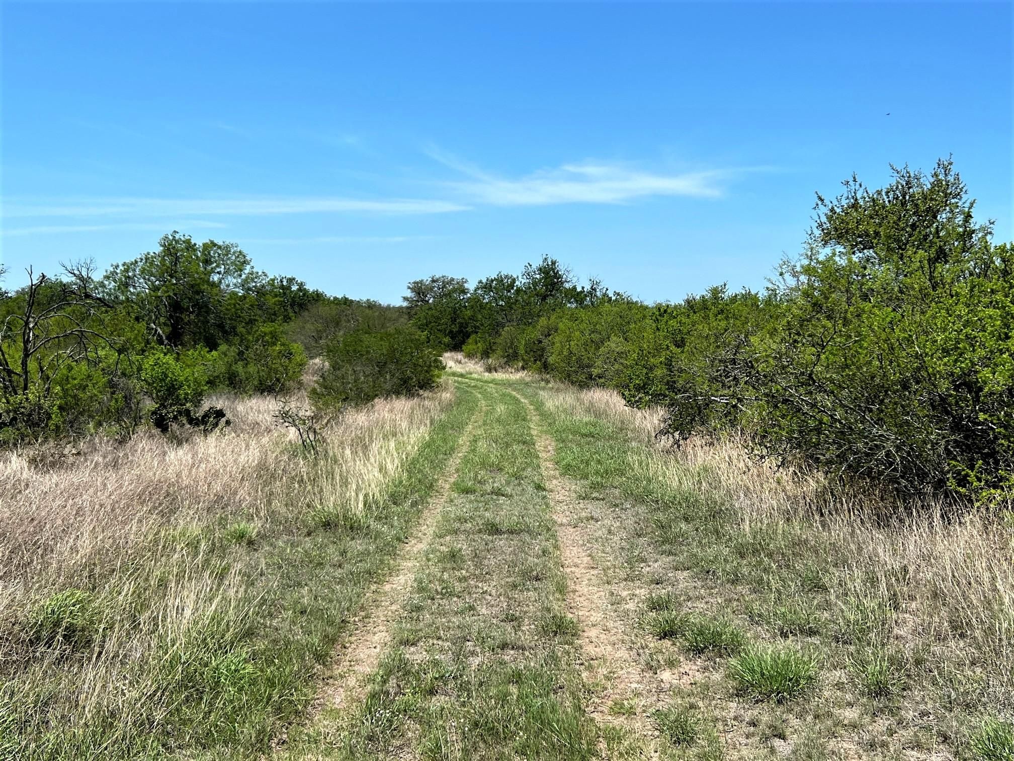1,165 acres in Live Oak County, Texas