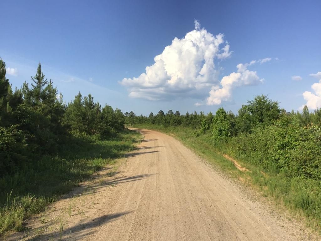 35 acres in Montgomery County, North Carolina