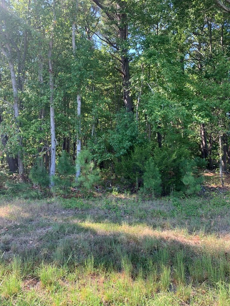 4.66 acres in Northampton County, Virginia