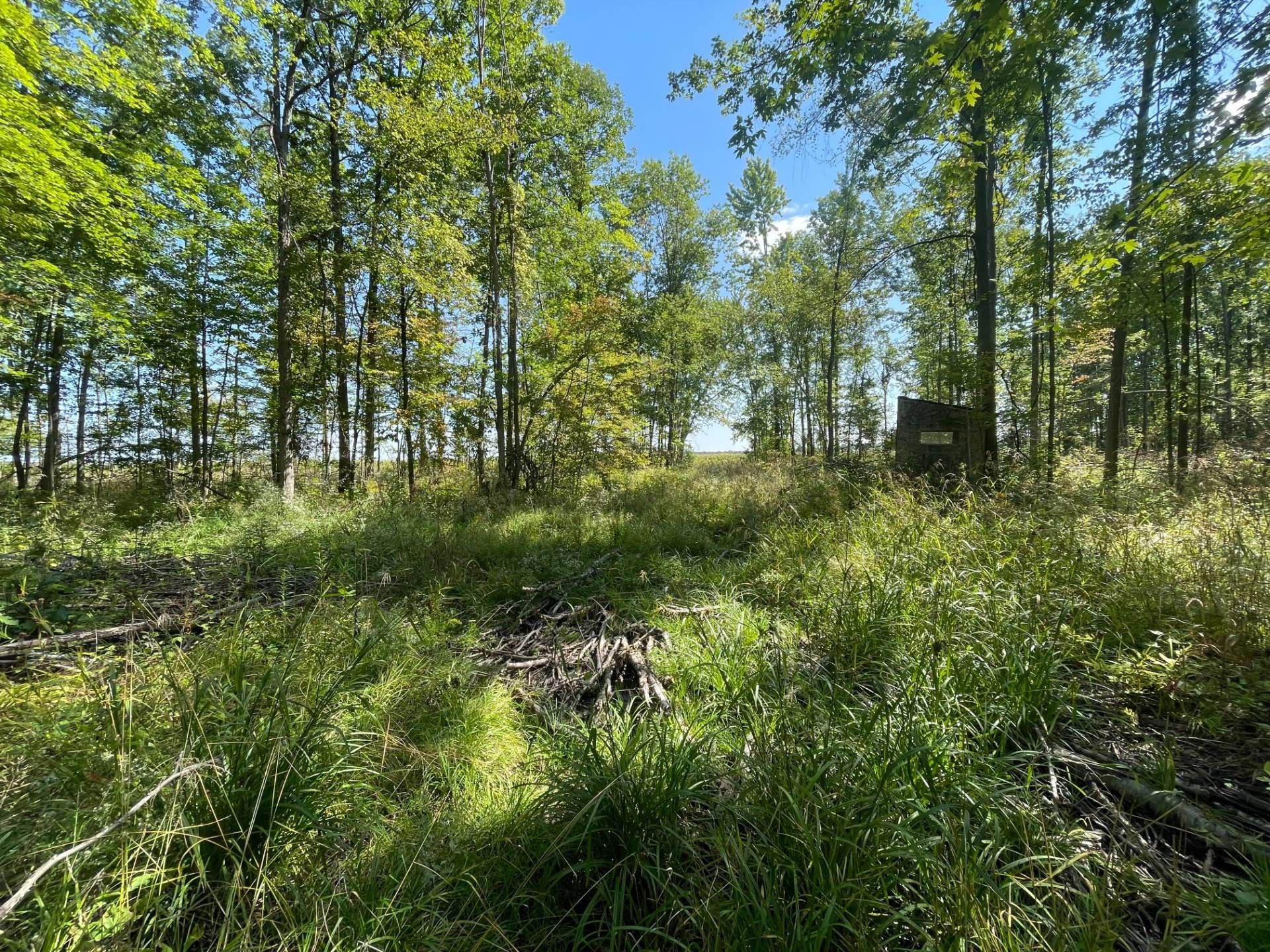 40 acres in Midland County, Michigan