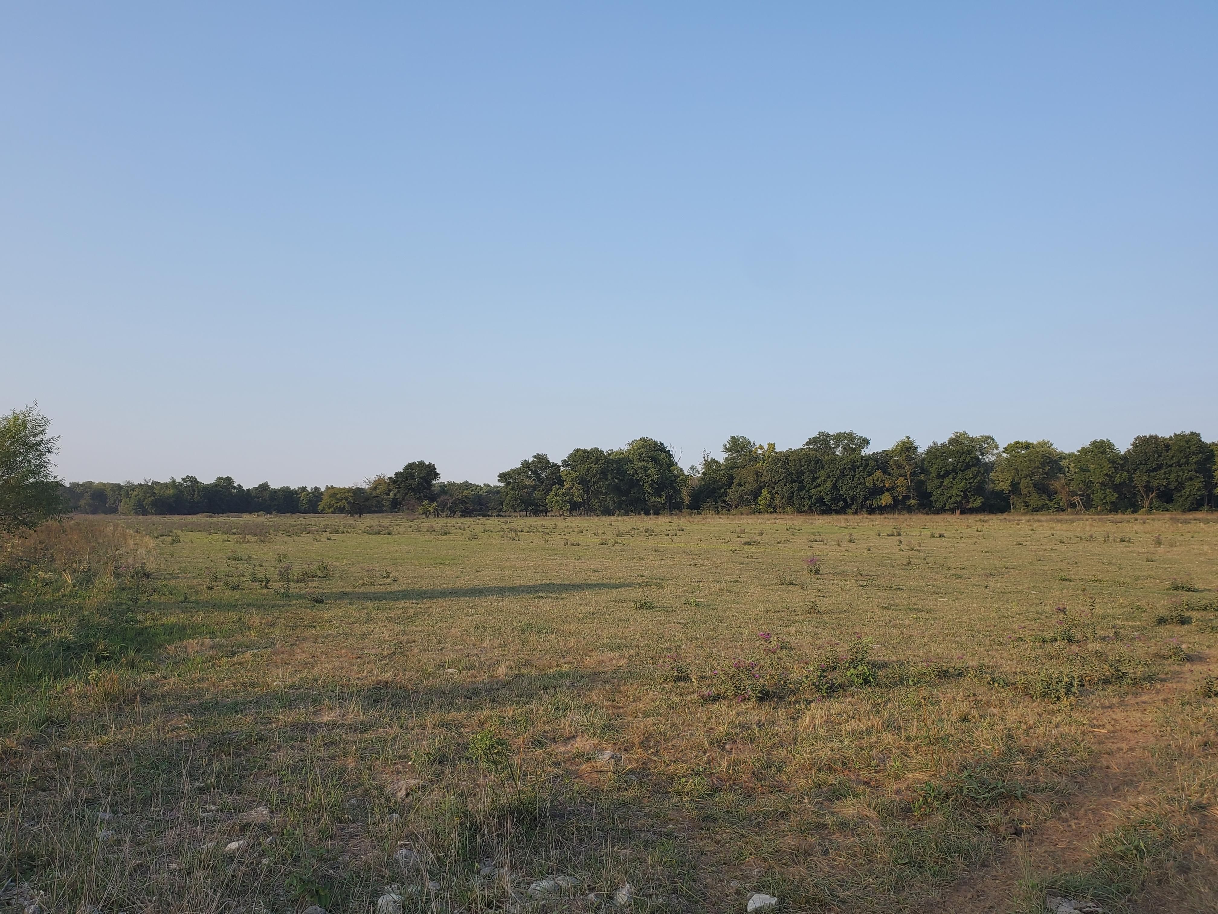260 acres in Vernon County, Missouri