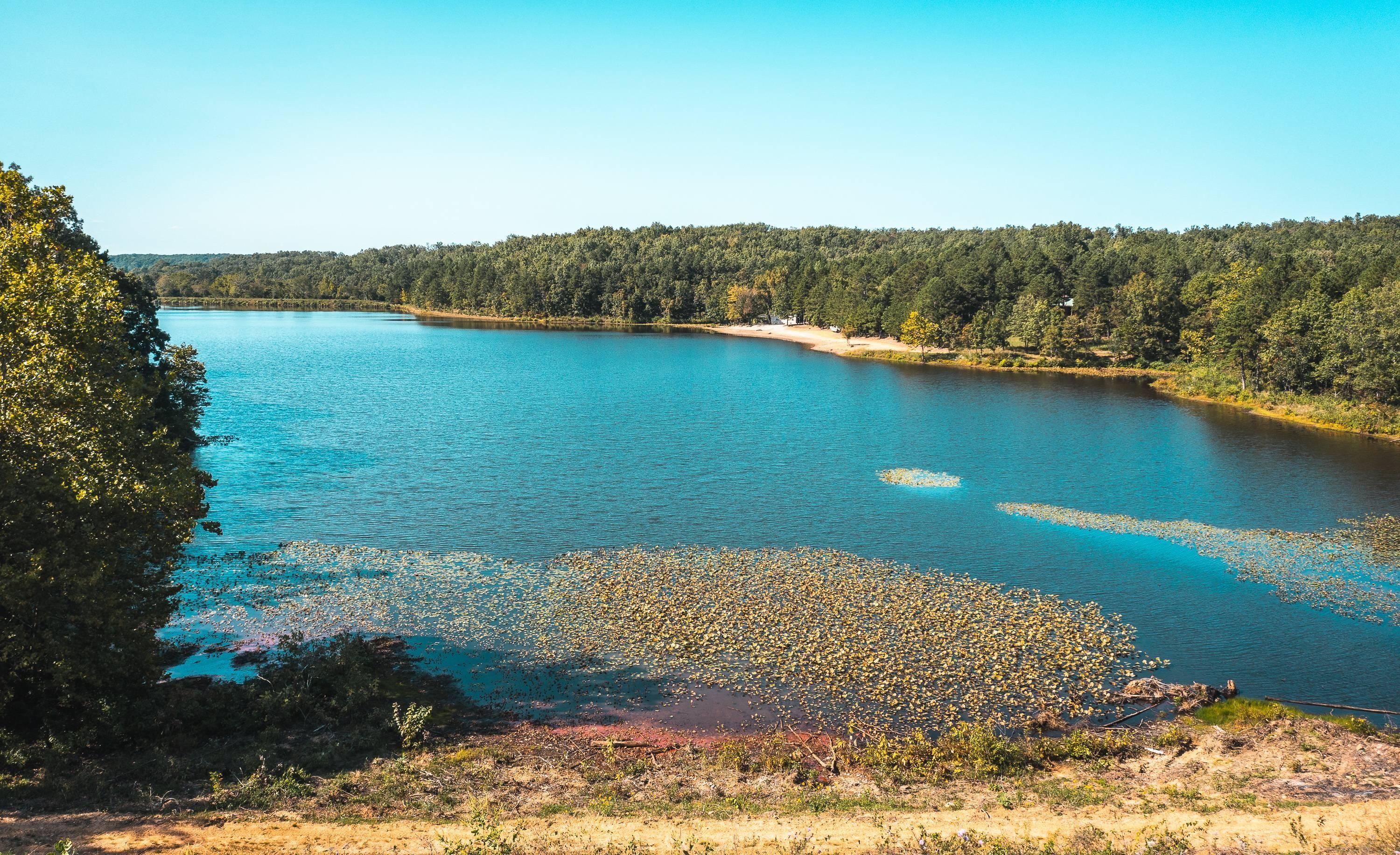 50 acres in Wayne County, Missouri