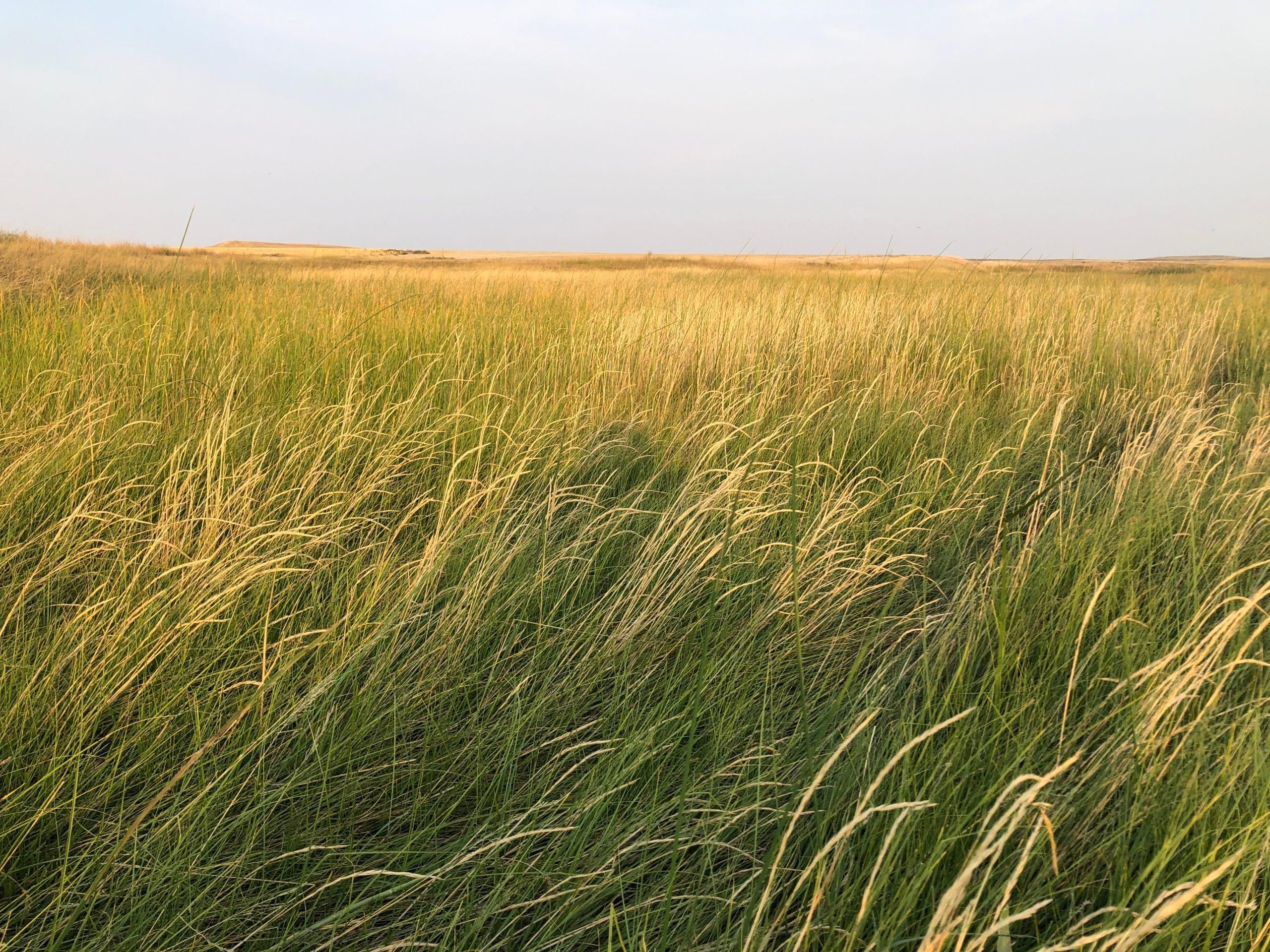 2,954 acres in Garfield County, Montana