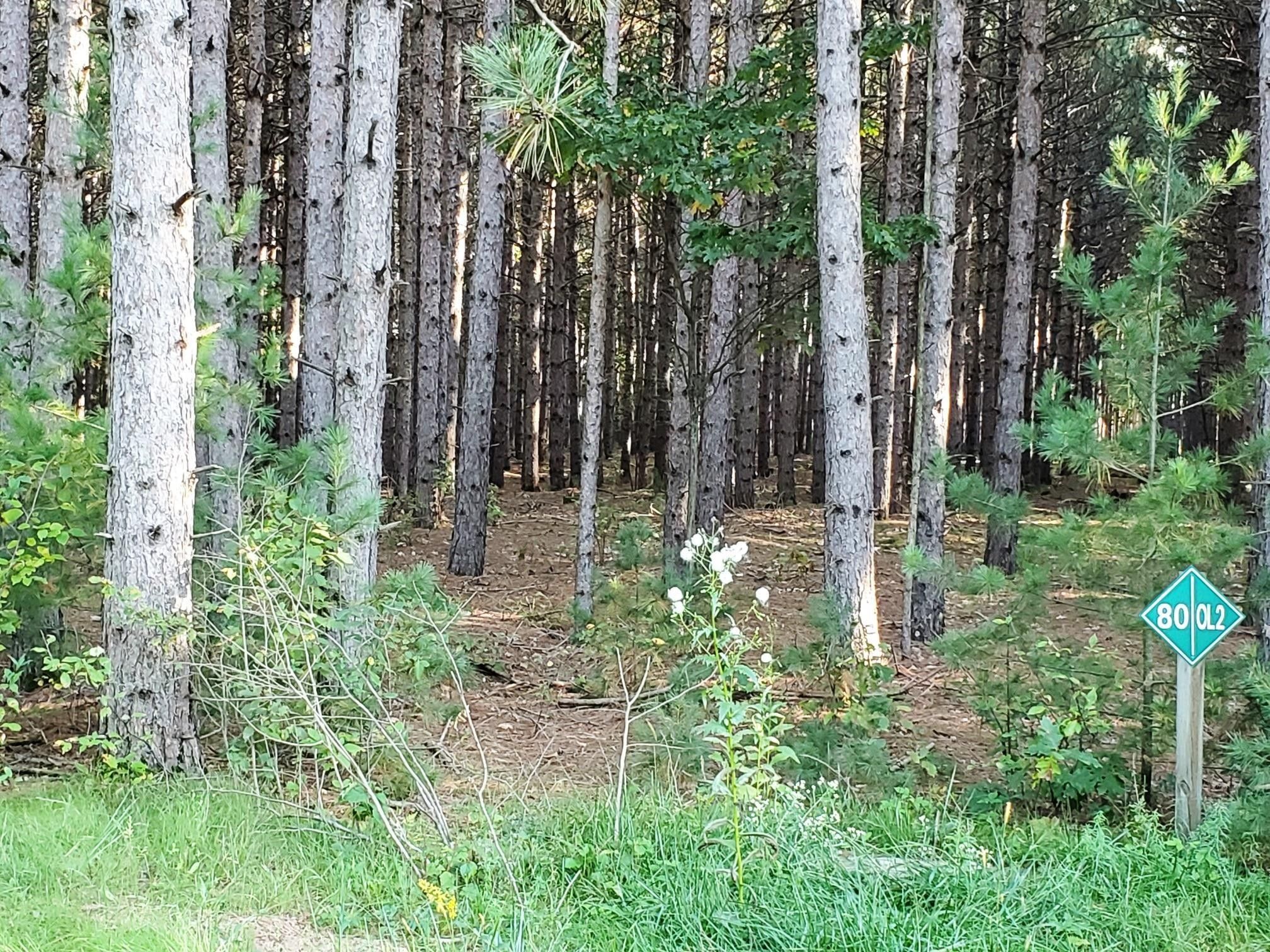 2 acres in Juneau County, Wisconsin