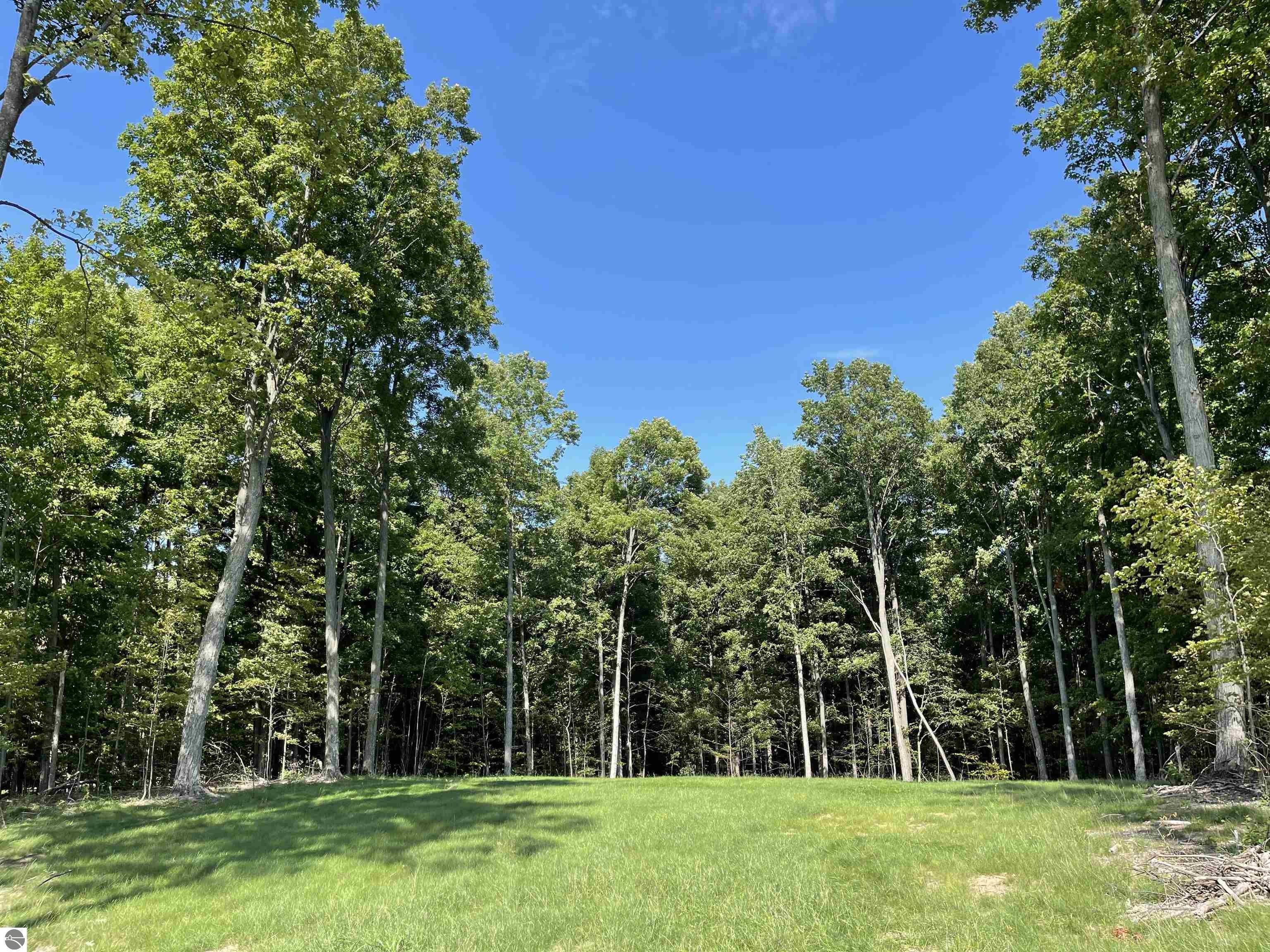 3-75-acres-in-grand-traverse-county-michigan