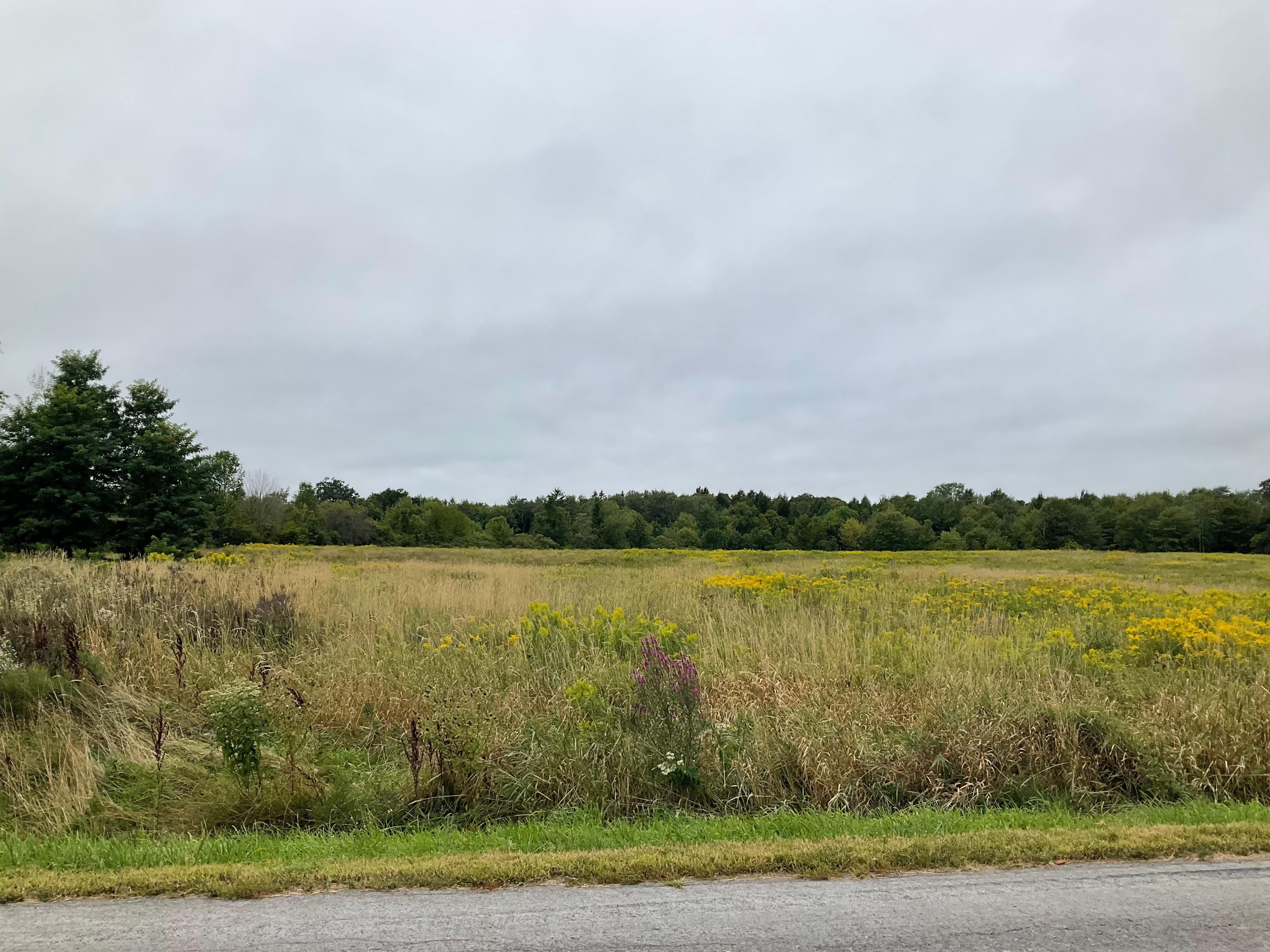 52 acres in Oswego County, New York