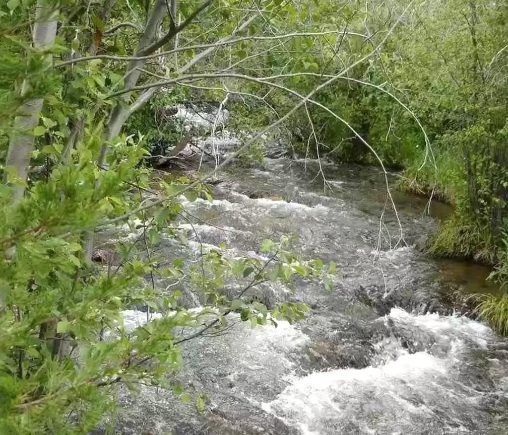 20 acres in Madison County, Montana