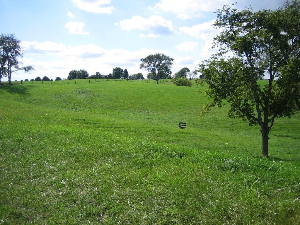 20 acres in Mason County, Kentucky