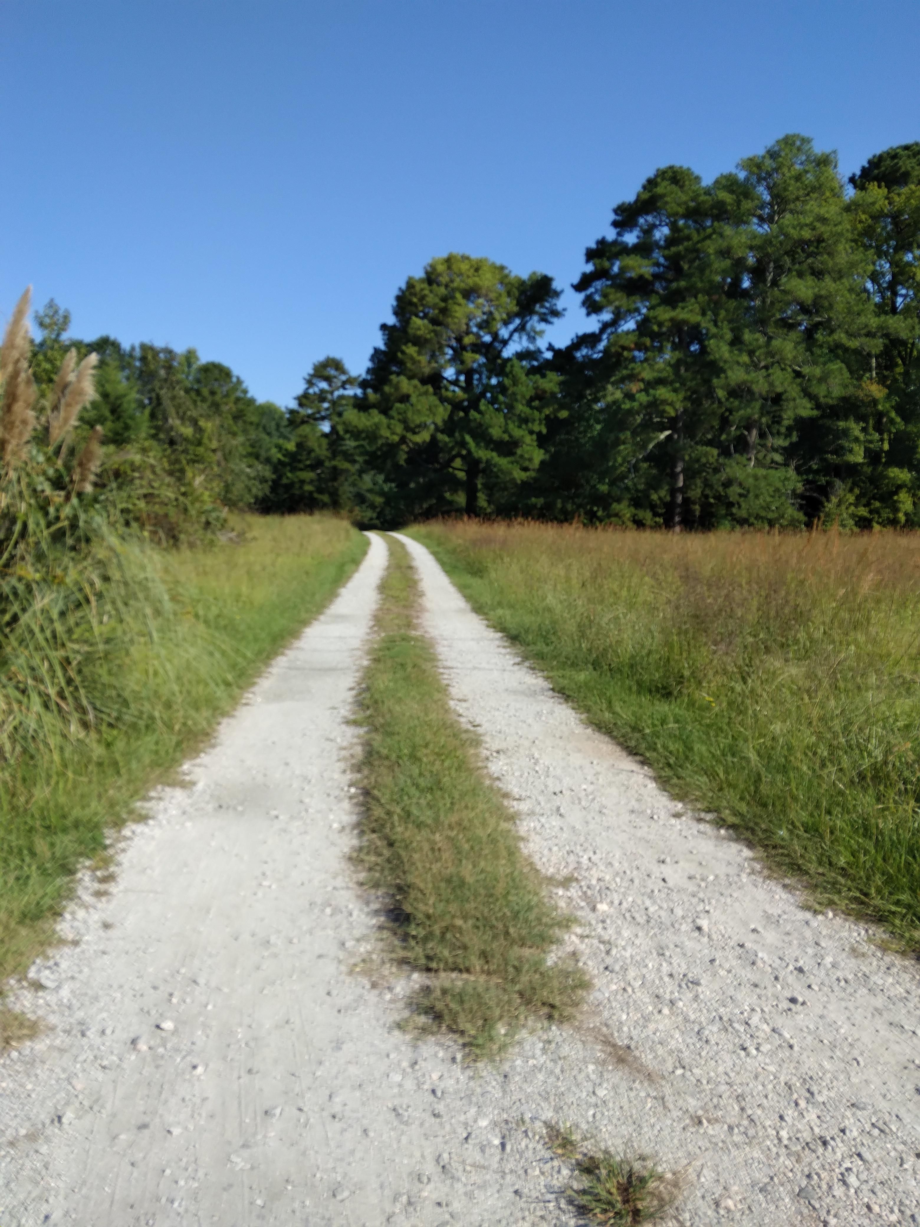 7620 Aidin Forest Lane, Wake Forest, NC 27587