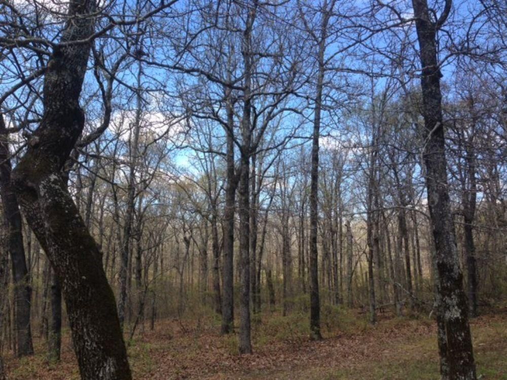 682 acres in Shannon County, Missouri