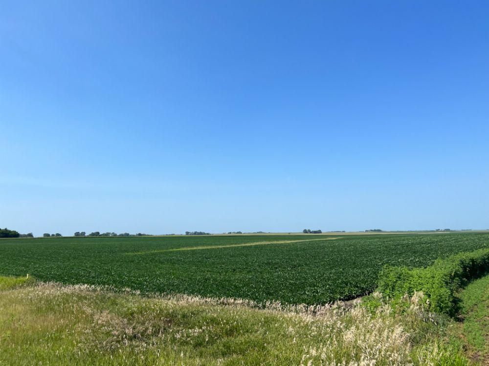 303 acres in Hamilton County, Iowa