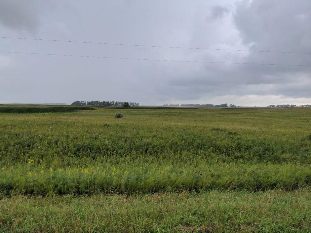800 acres in Michigan, ND,