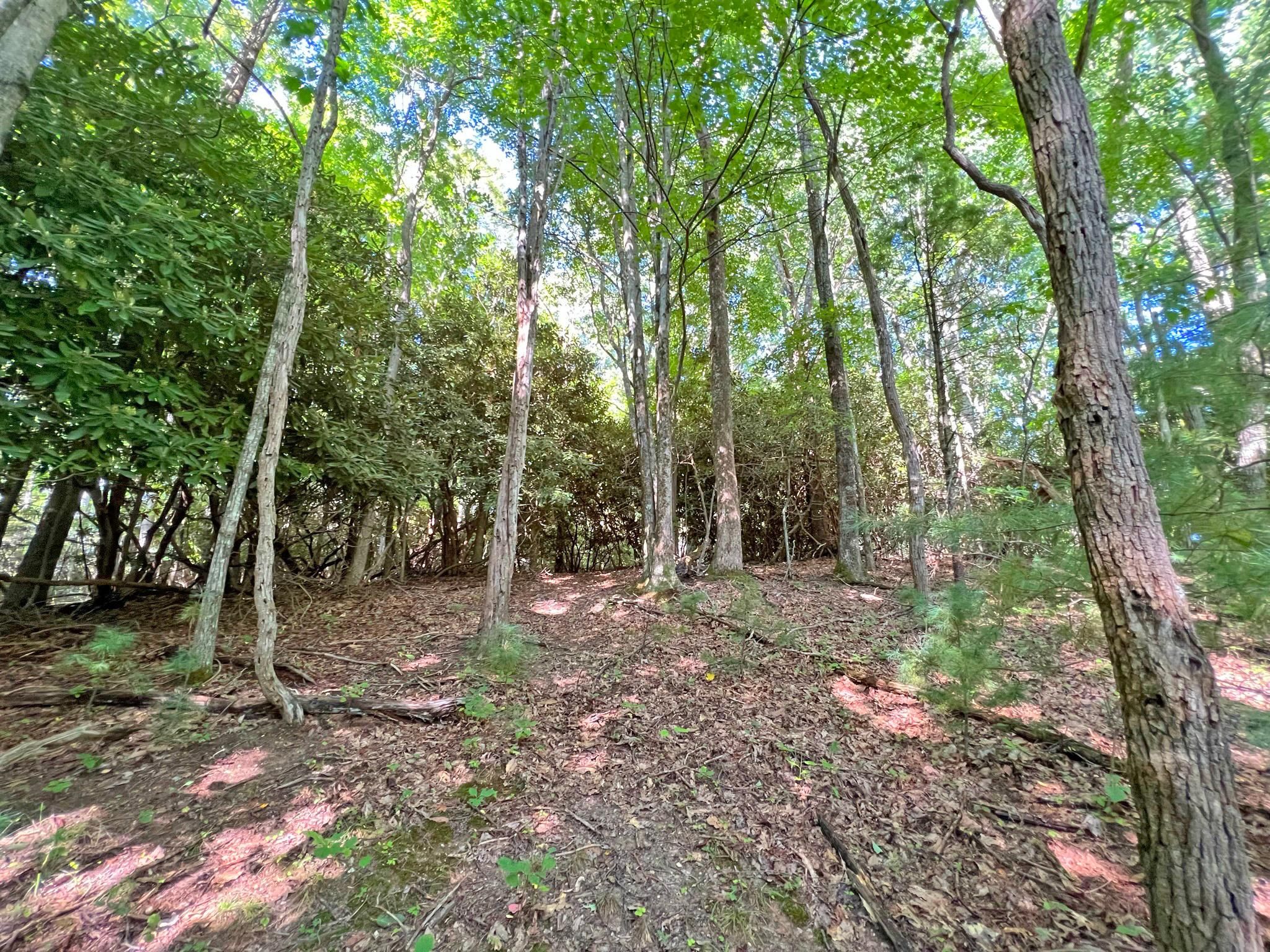 21 acres in Madison County, North Carolina