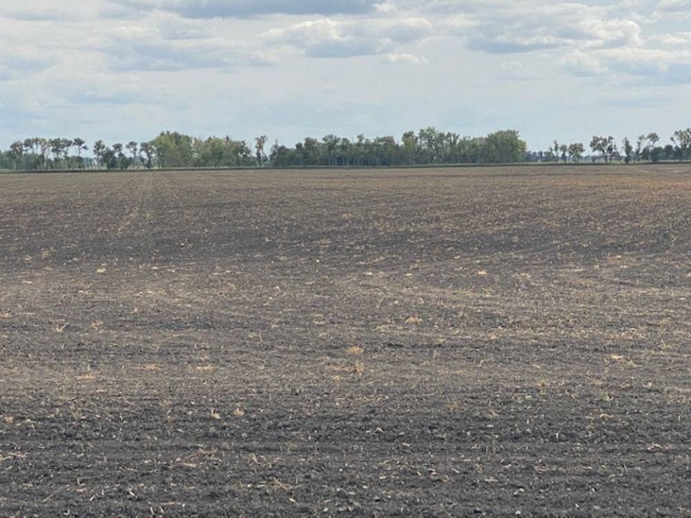 160 acres in Walsh County, North Dakota