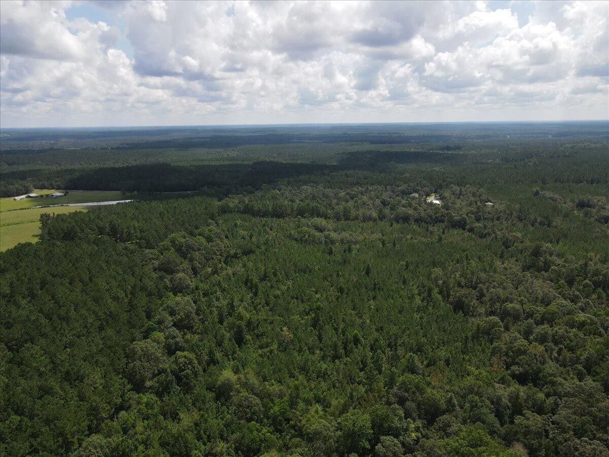 60 acres in Perry County, Mississippi