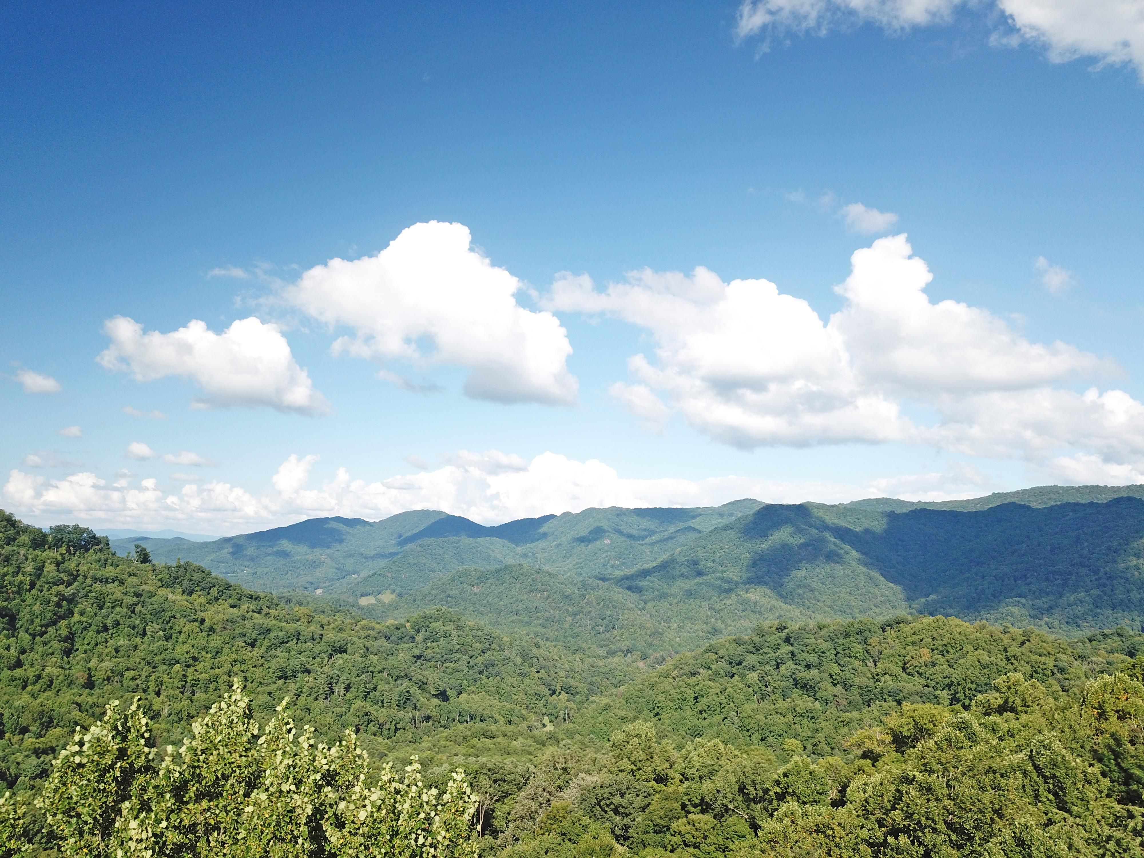 11.25 acres in Madison County, North Carolina