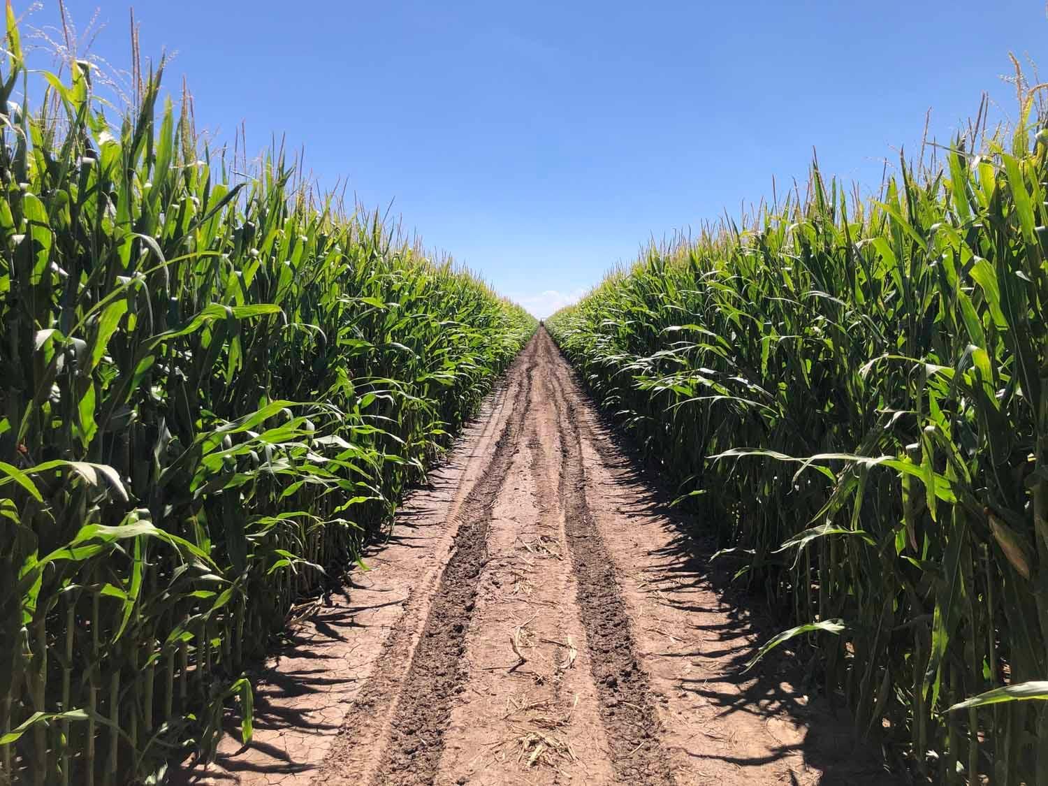 4,055.15 acres in Hansford County, Texas