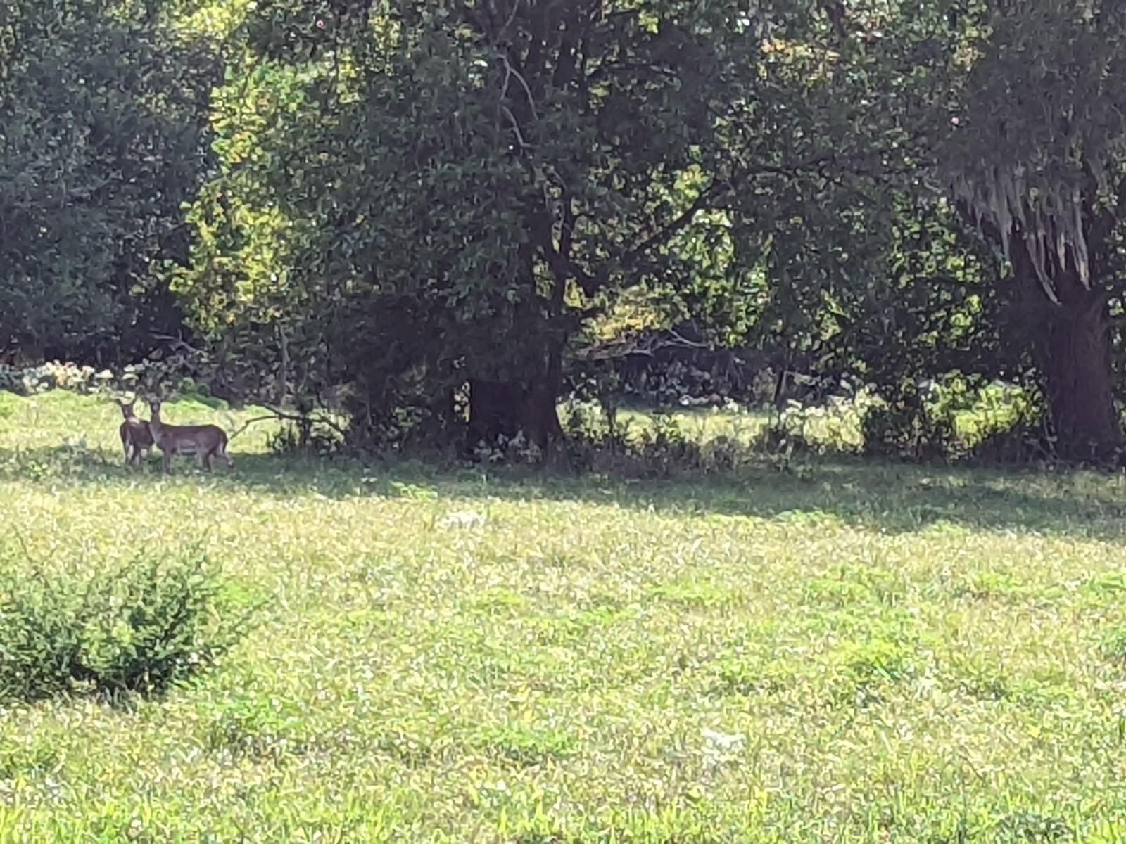 442.04 acres in Fort Bend County, Texas