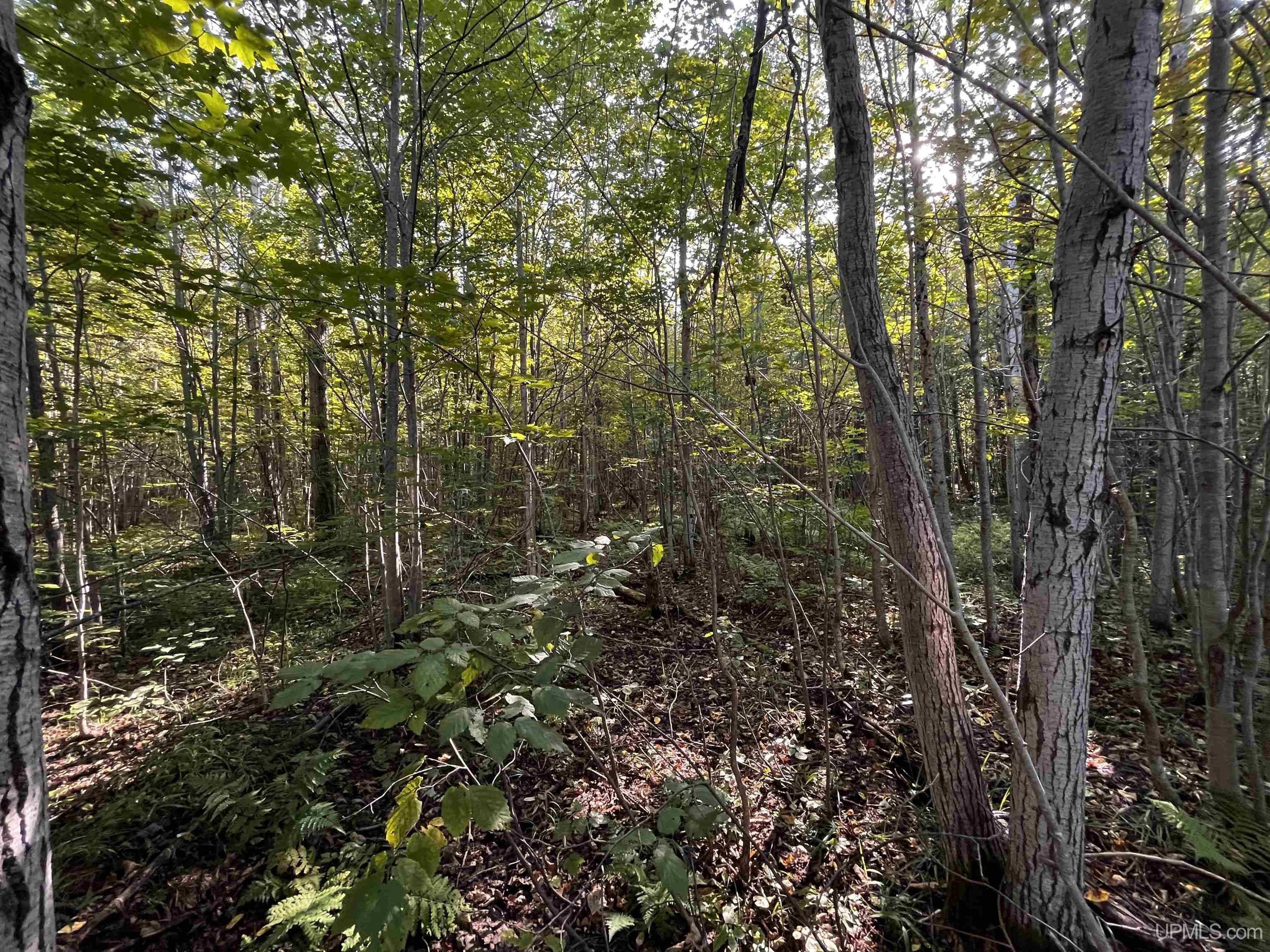 85.3 acres in Ontonagon County, Michigan