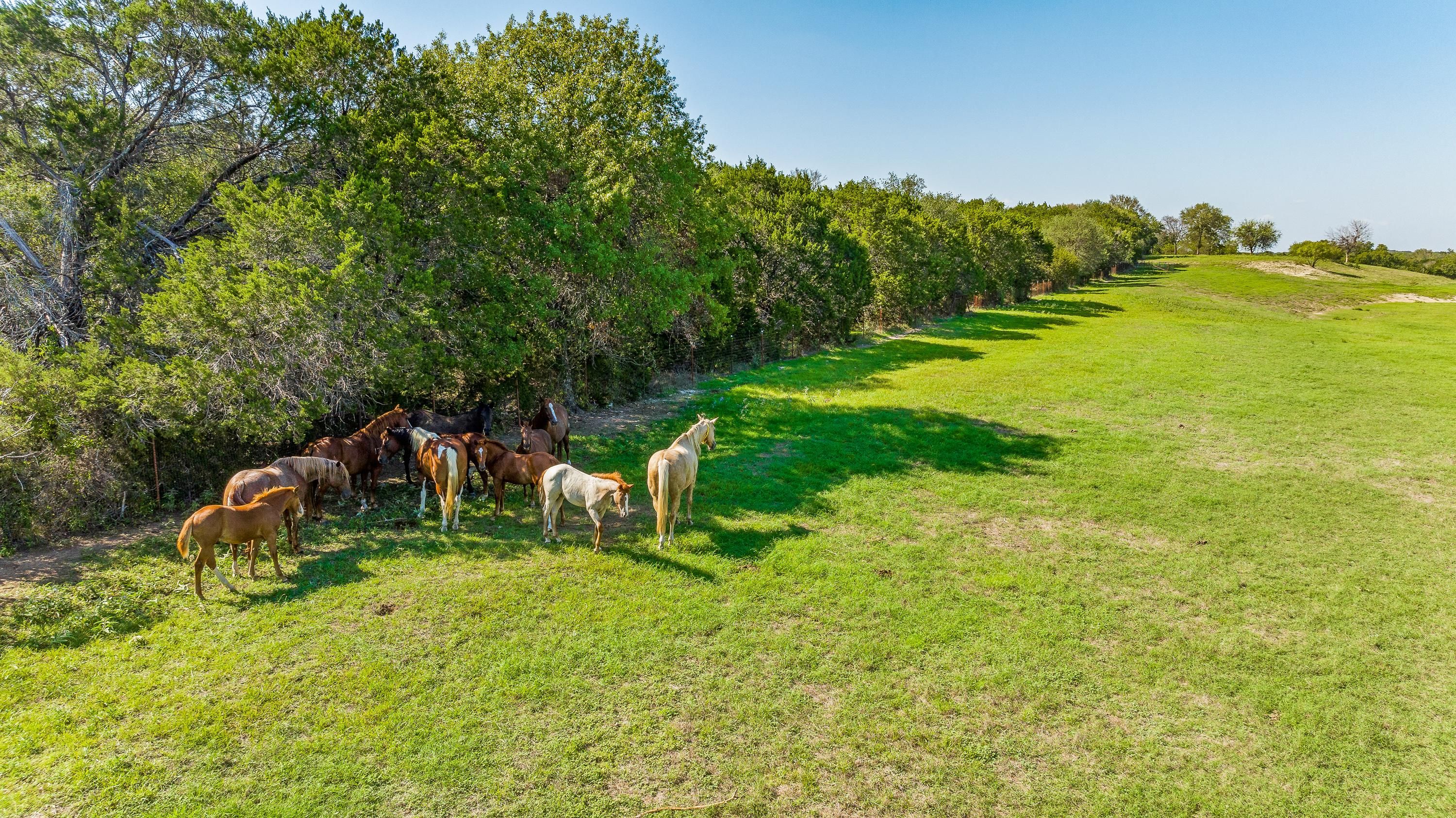 118 acres in Parker County, Texas