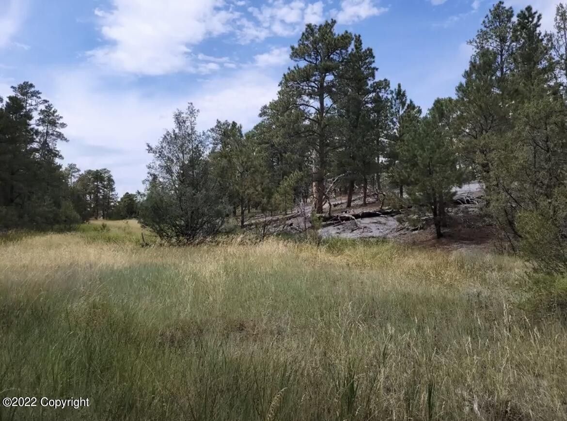 5.1 acres in Crook County, Wyoming