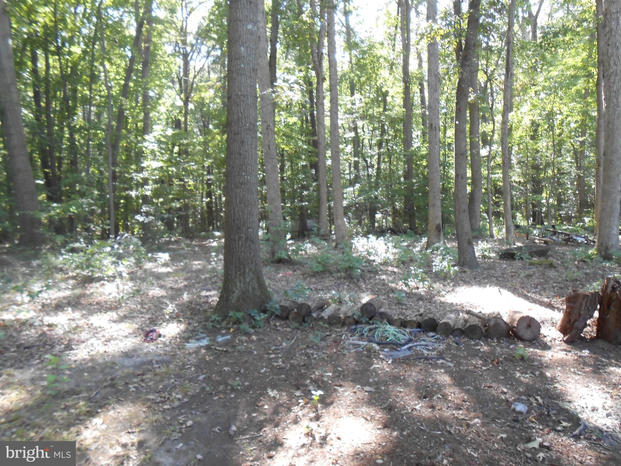 3 acres in Queen Annes County, Maryland