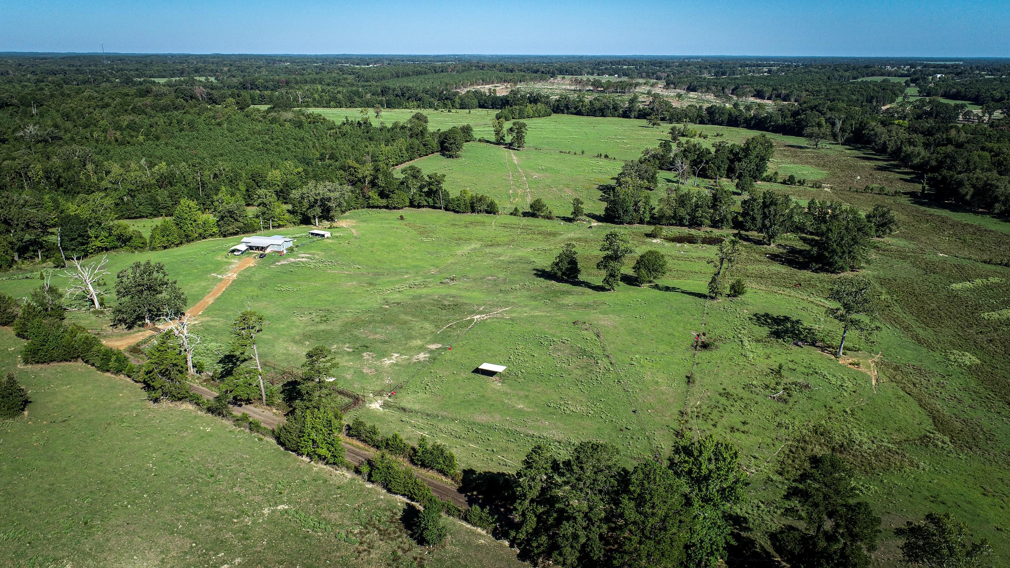 242 acres in Upshur County, Texas