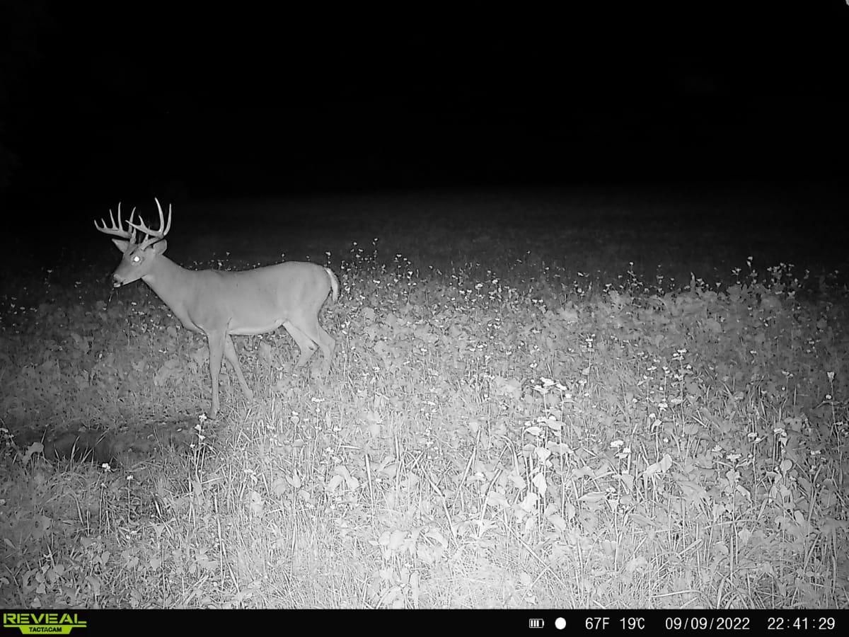 30 acres in Grant County, Wisconsin